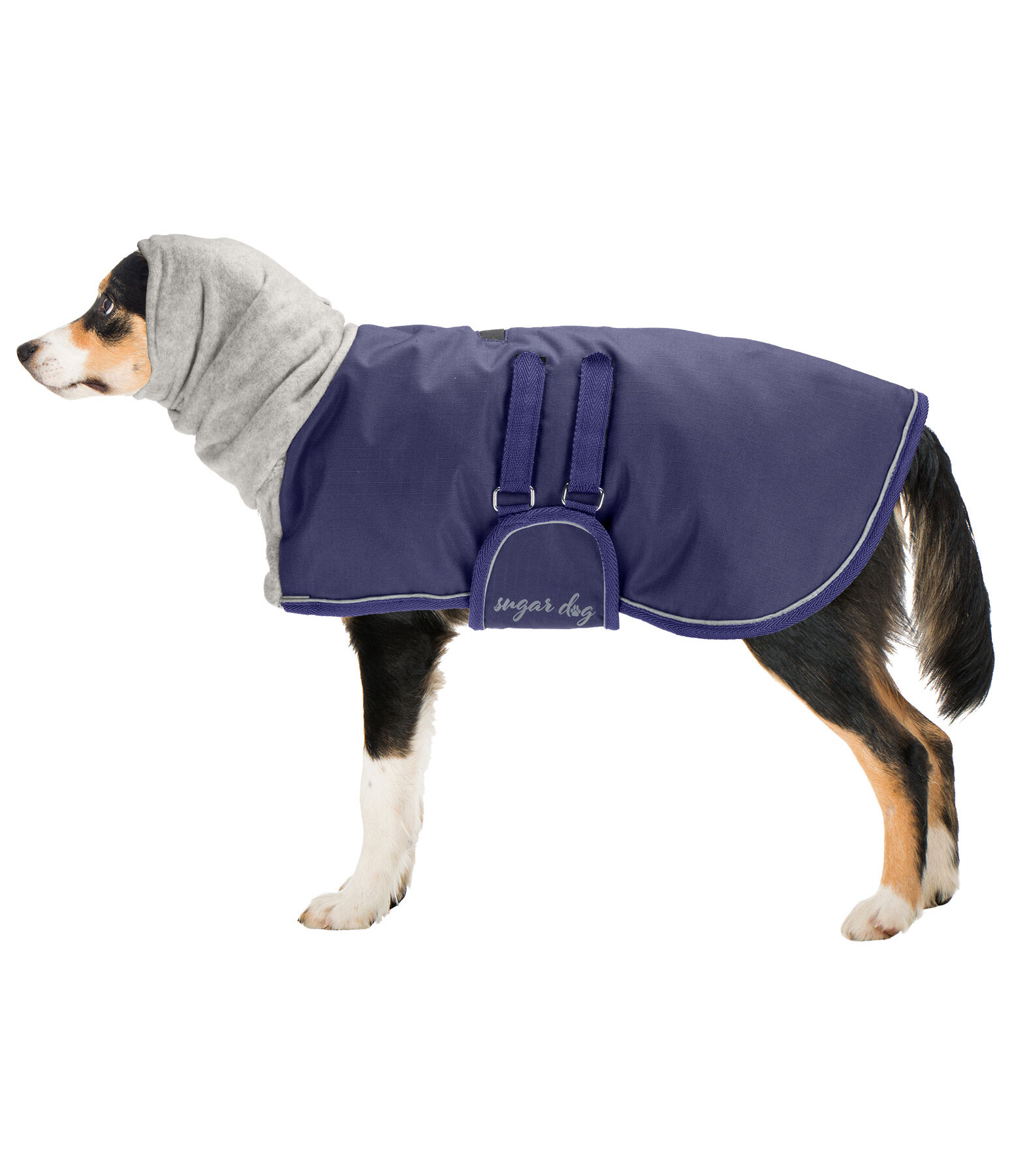manteau d hiver pour gros chien