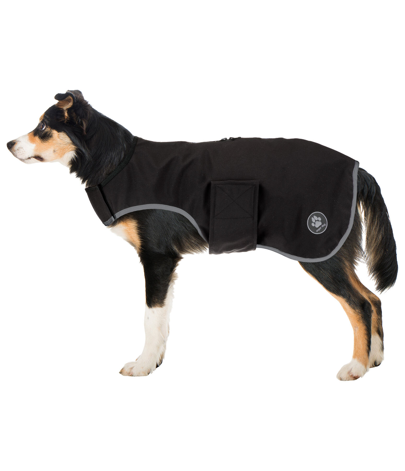 Manteau de randonne en softshell pour chien  Athlete, 0 g