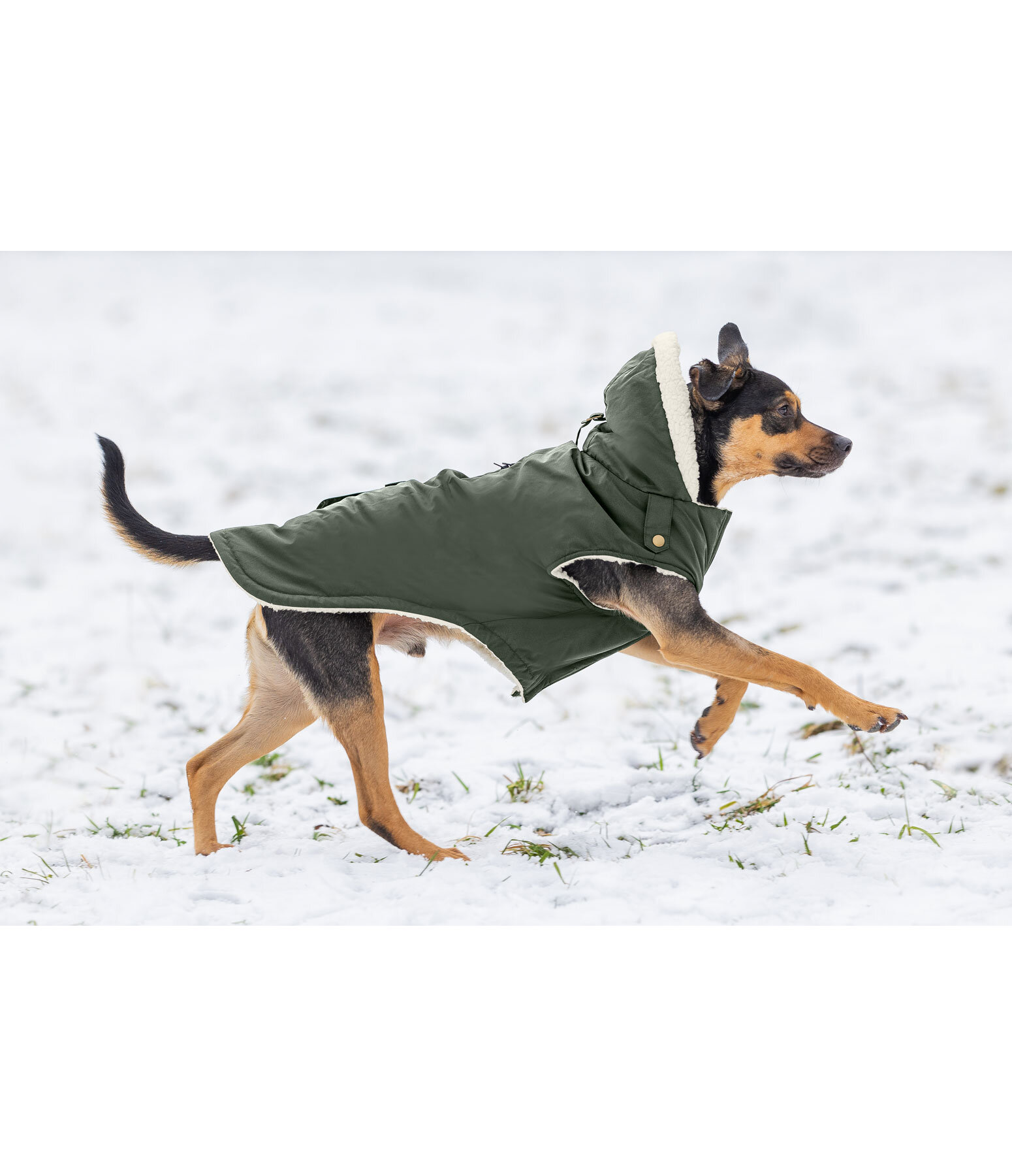Manteau de pluie pour chien avec doublure sherpa  Wilbur, 60 g