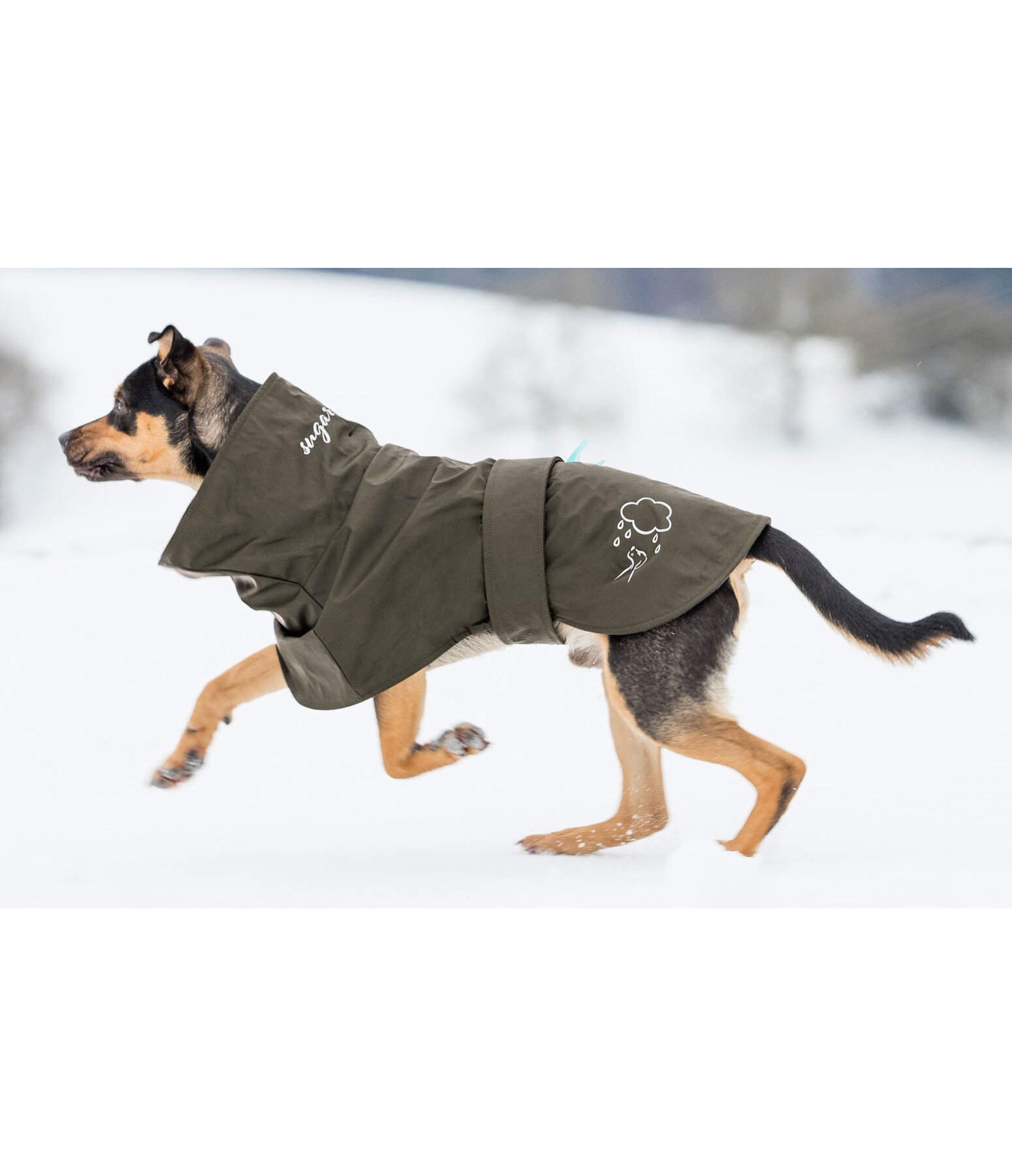 Manteau de pluie pour chien  Everglades, 0 g