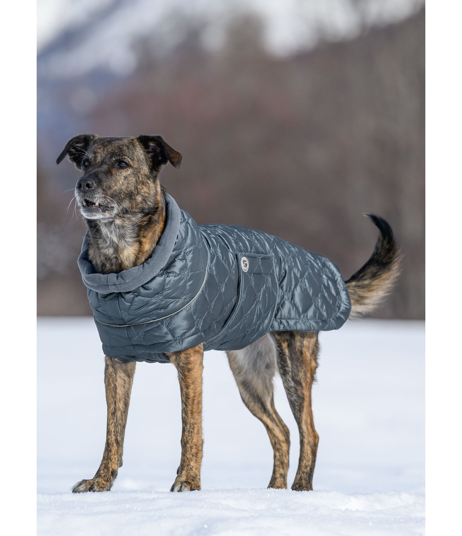 Manteau pour chien matelass avec doublure polaire  Cliff, 200 g