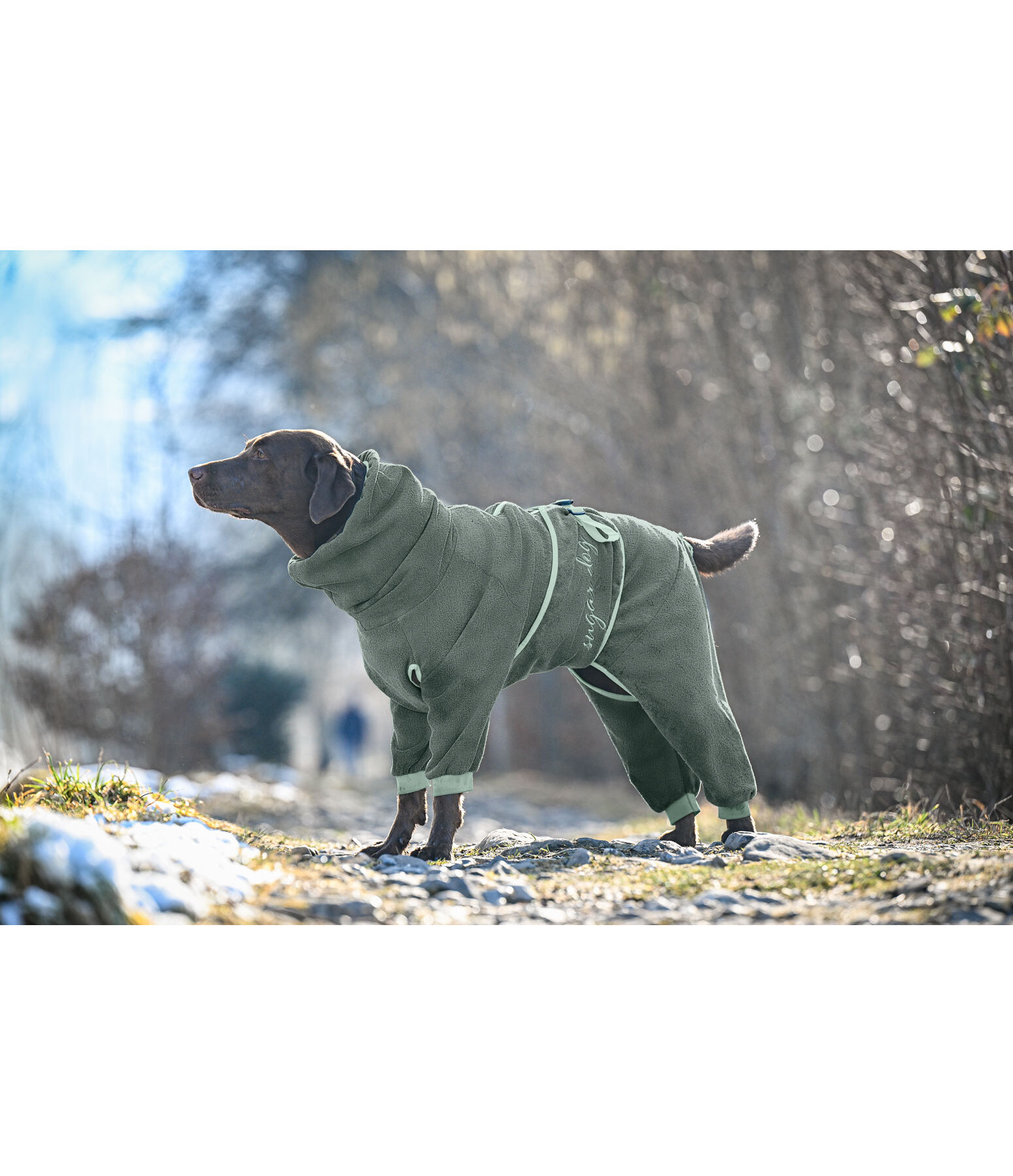 Peignoir pour chien  Allover Dry