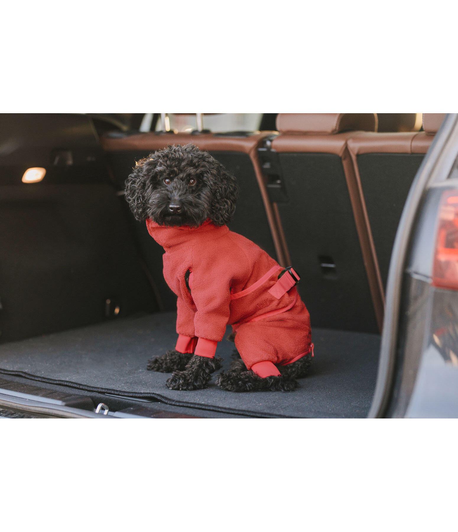 Peignoir pour chien  Allover Dry