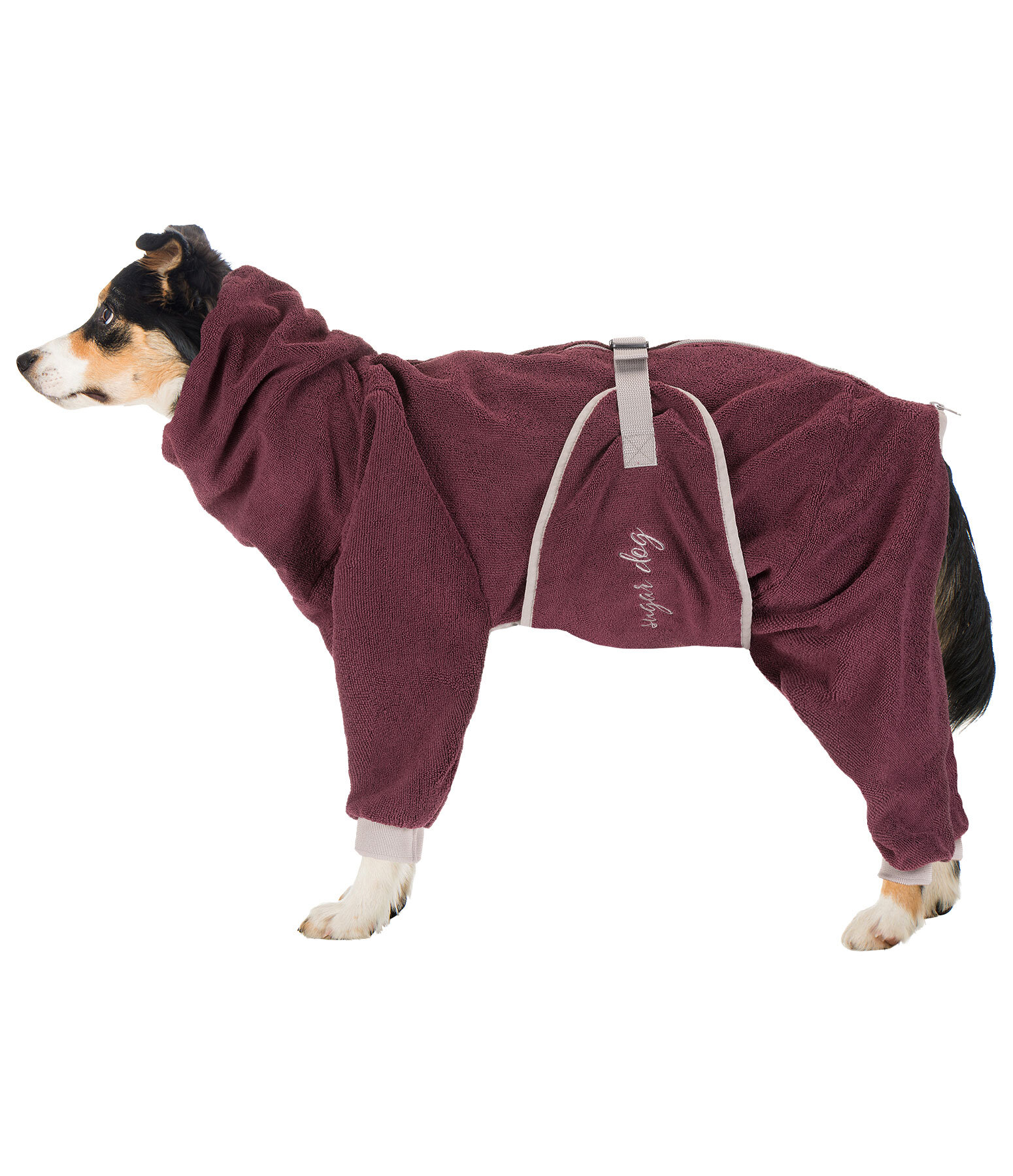 Peignoir pour chien  Allover Dry