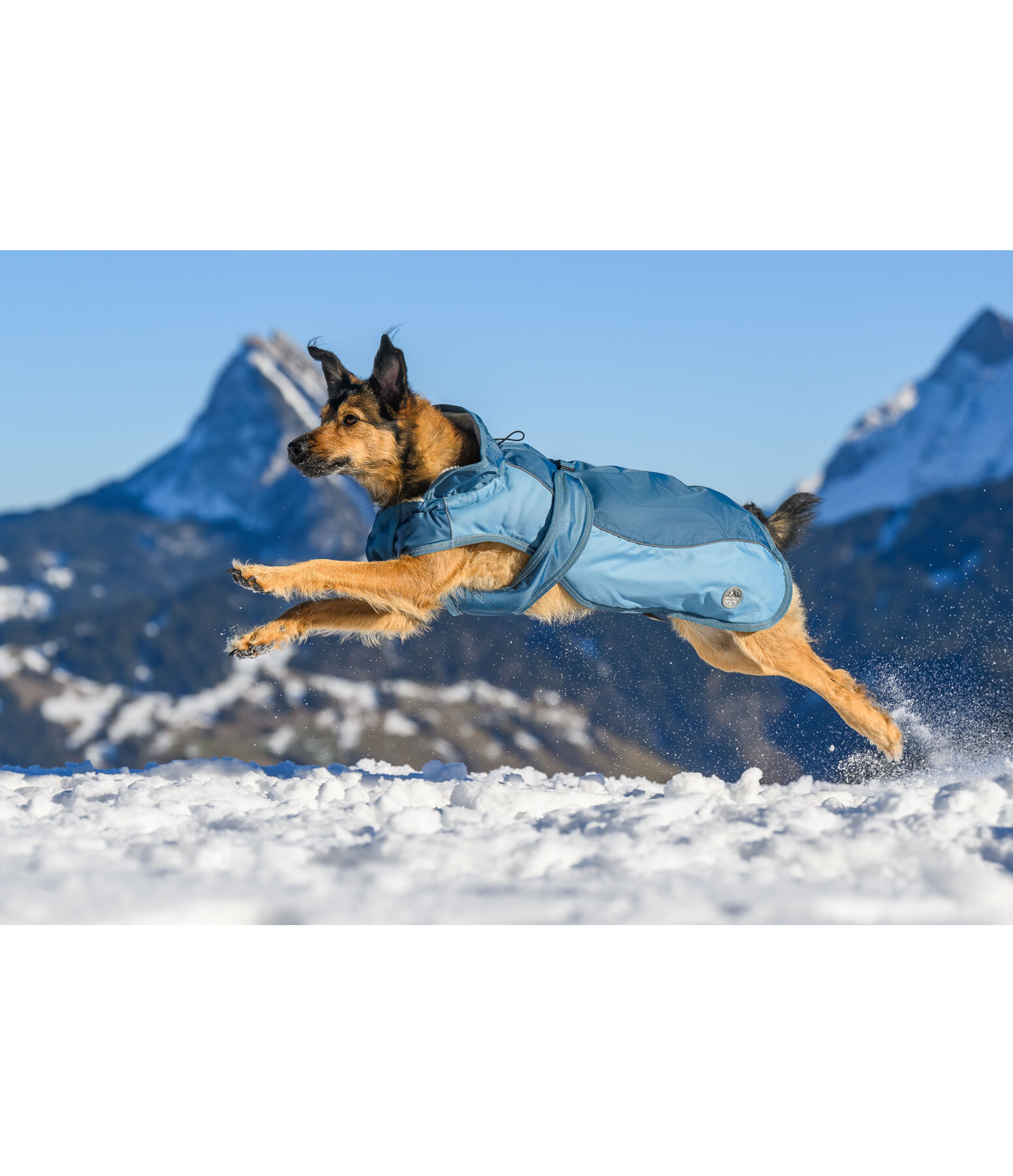 Manteau d'hiver pour chien avec doublure en polaire Teddy, 100 g  Glacier Bay