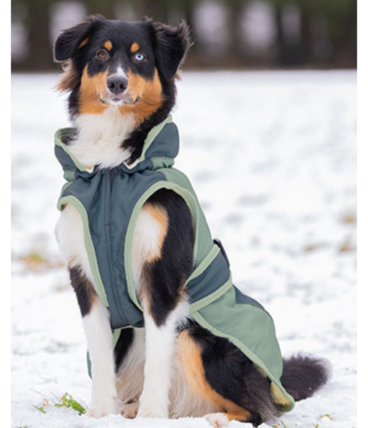 Manteau d'hiver pour chien avec doublure en polaire Teddy, 100 g  Glacier Bay