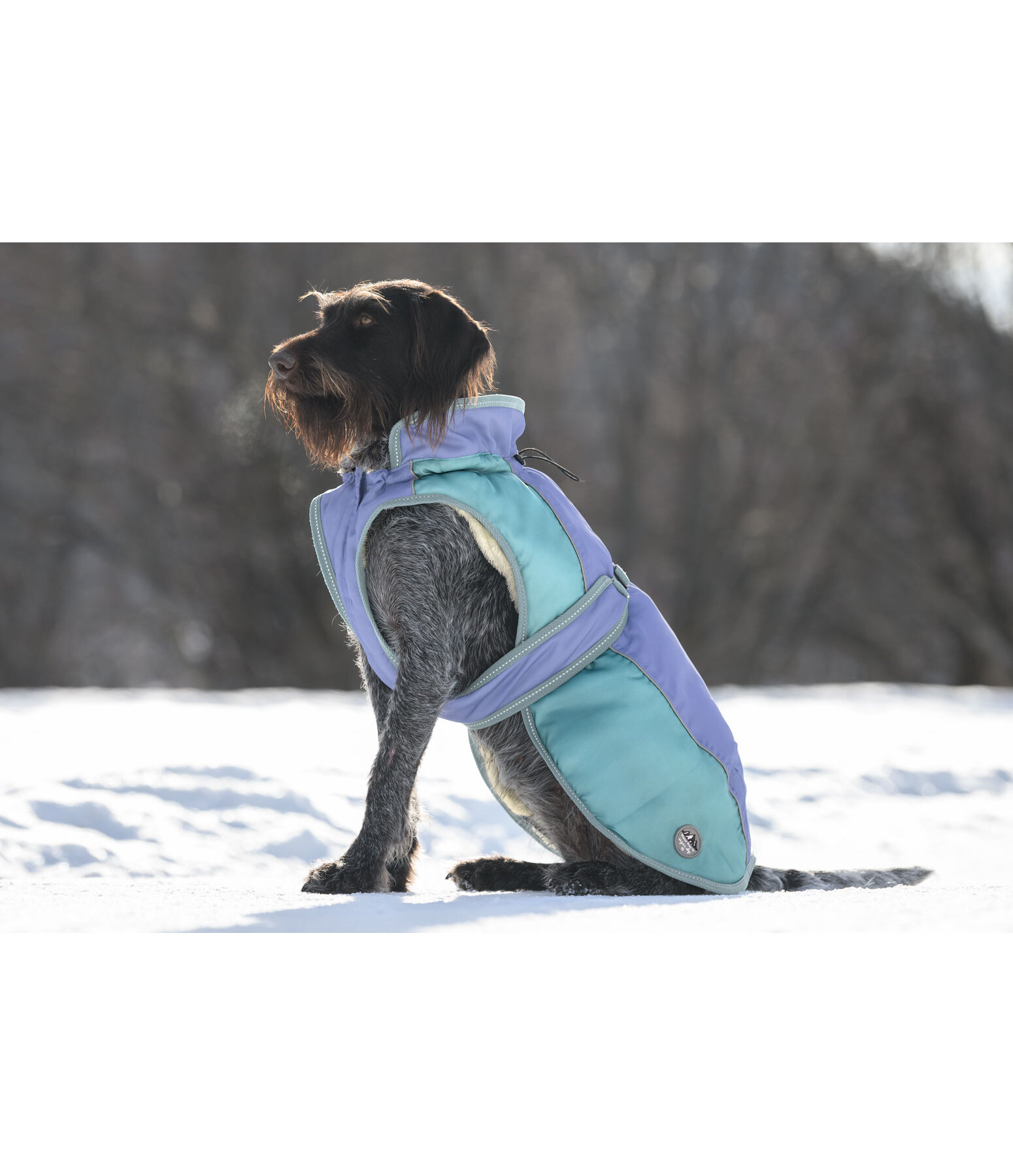 Manteau d'hiver pour chien avec doublure en polaire Teddy, 100 g  Glacier Bay