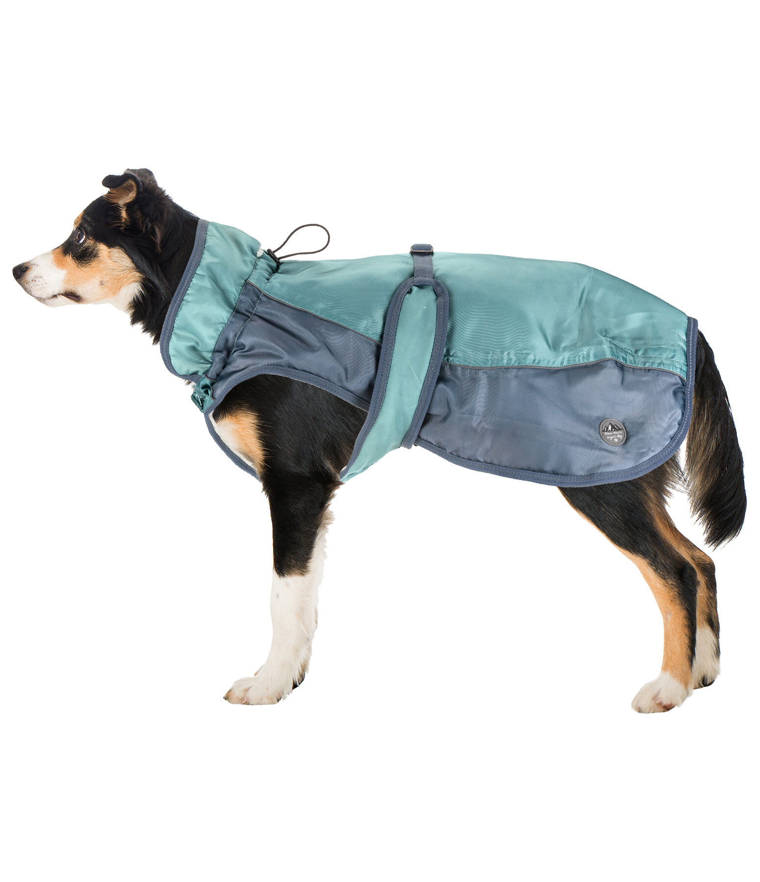 Manteau d'hiver pour chien avec doublure en polaire Teddy, 100 g  Glacier Bay