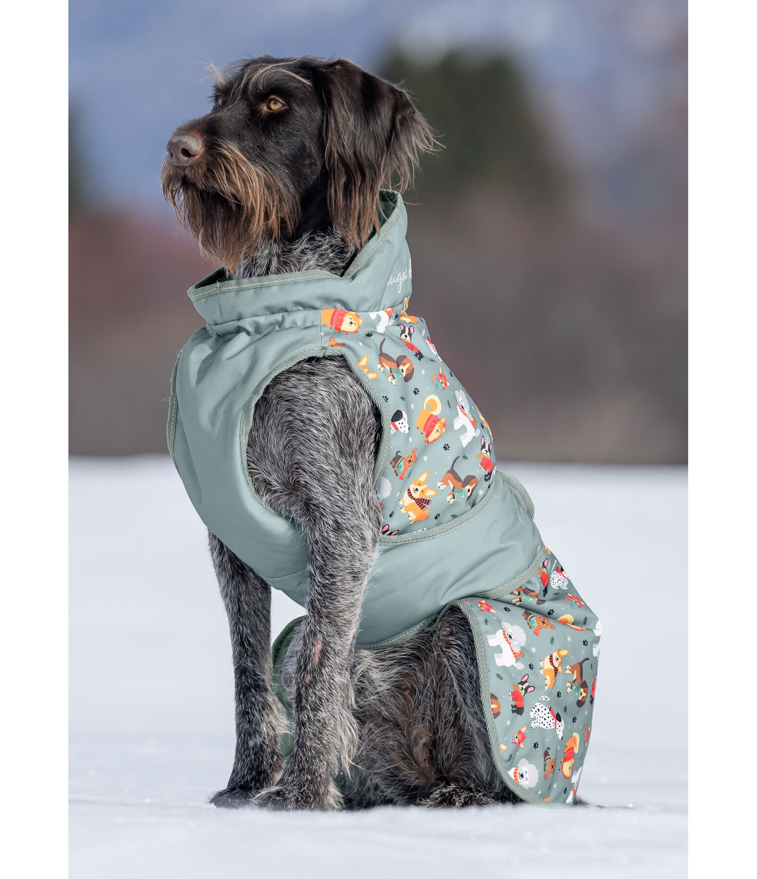 Manteau d'hiver pour chien  Candy Cane, 120 g