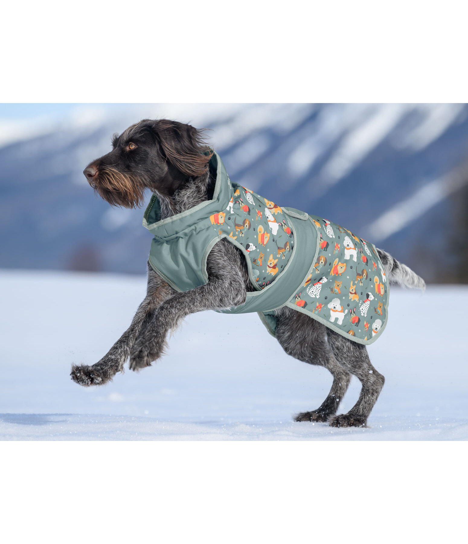 Manteau d'hiver pour chien  Candy Cane, 120 g