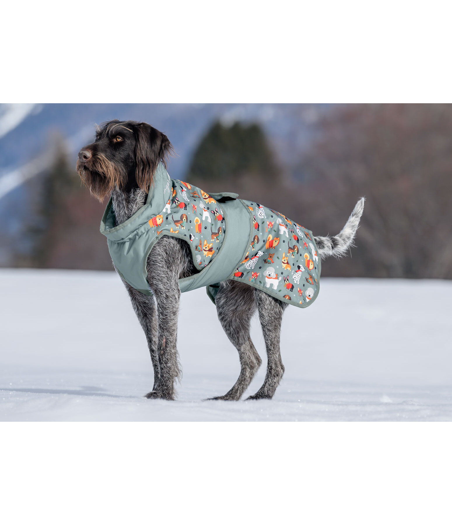 Manteau d'hiver pour chien  Candy Cane, 120 g