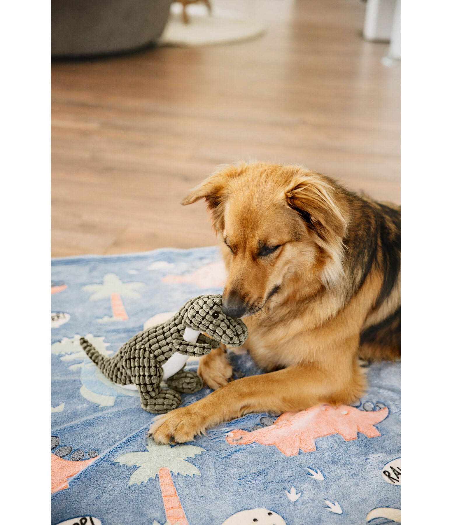 Dino en peluche pour chien  Rexy