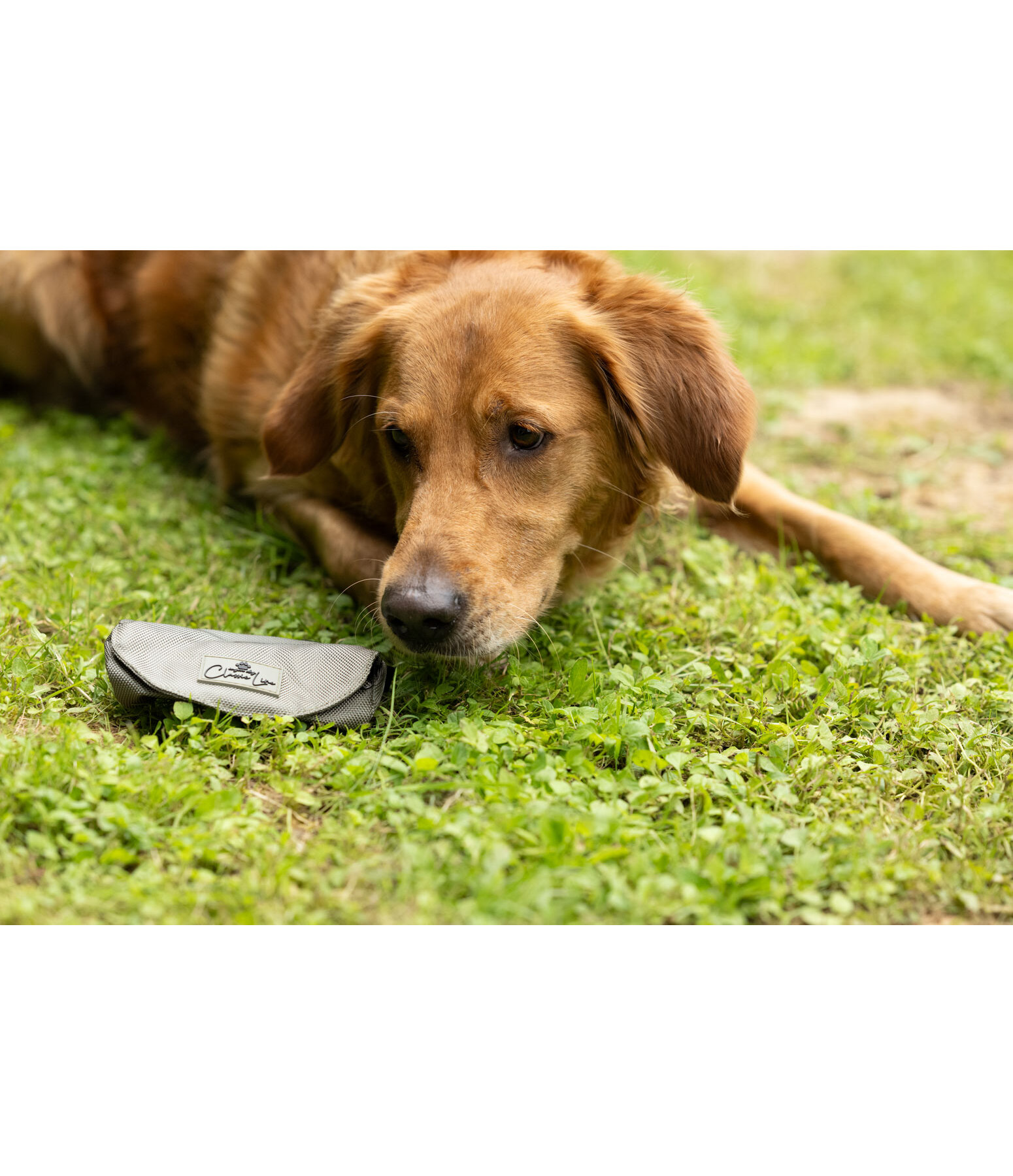 Sac � rapporter pour chien  Classic Line