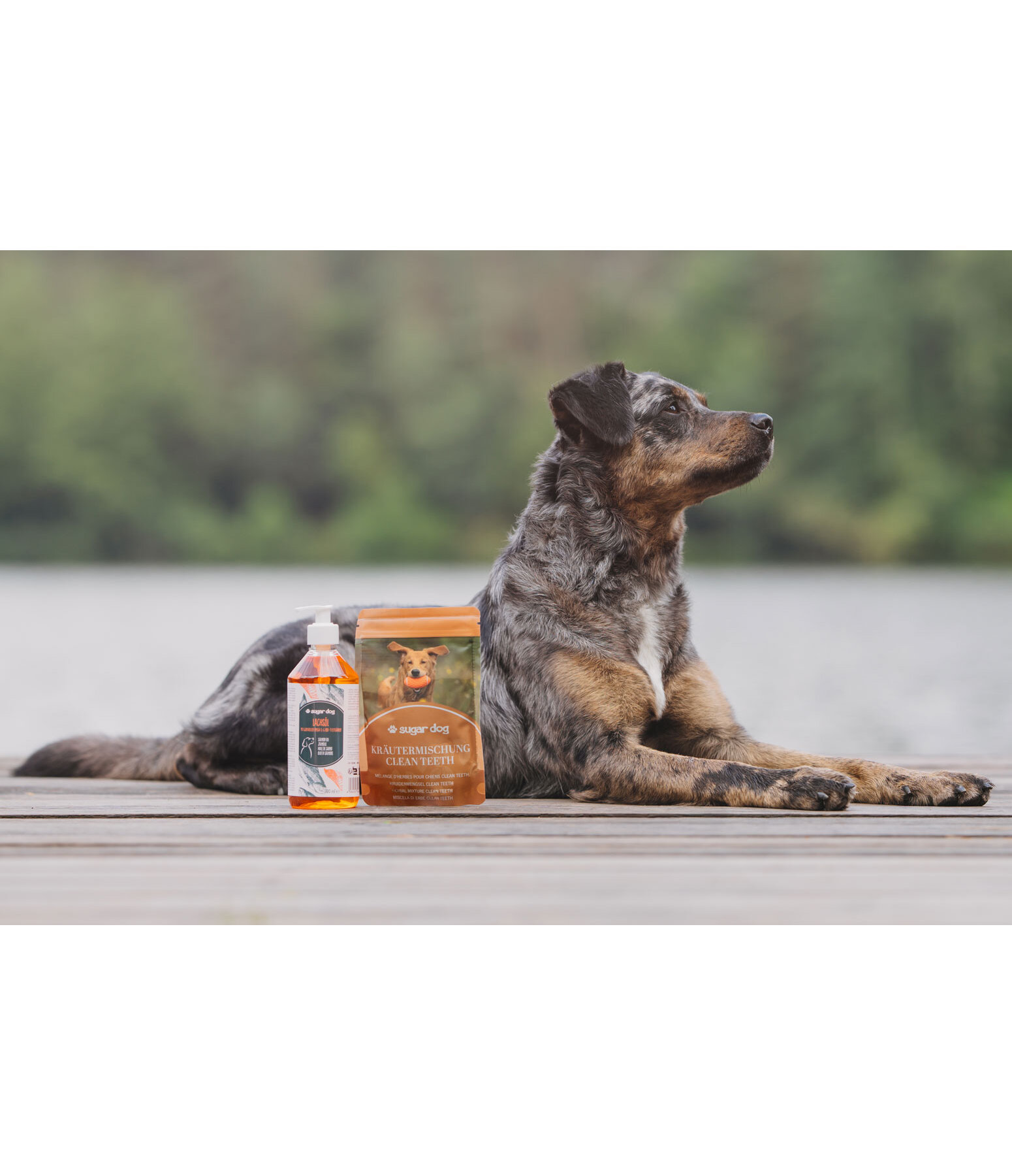 Mlange d'herbes pour chien  Clean Teeth