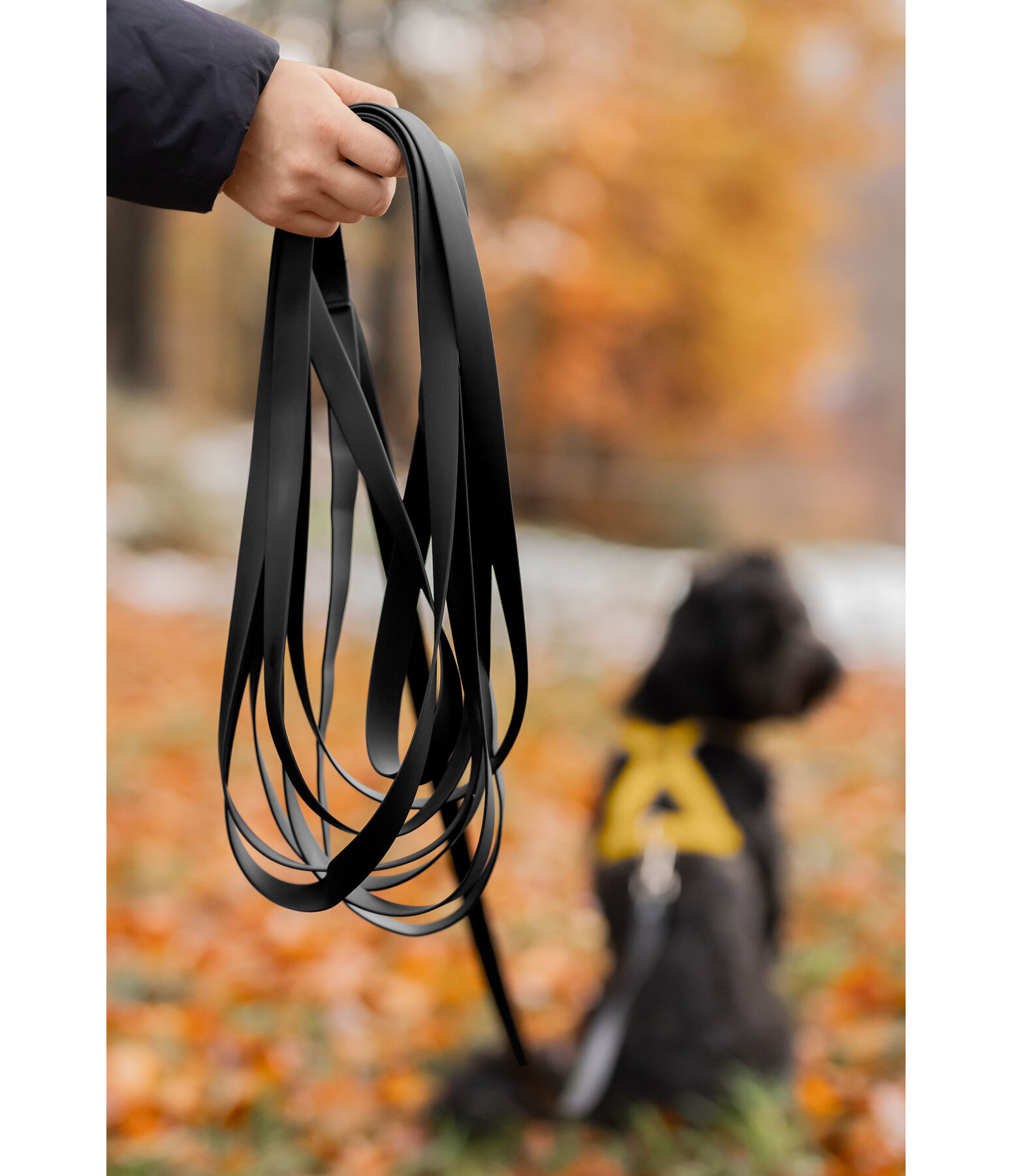 Longe Waterproof pour chien  Ginny