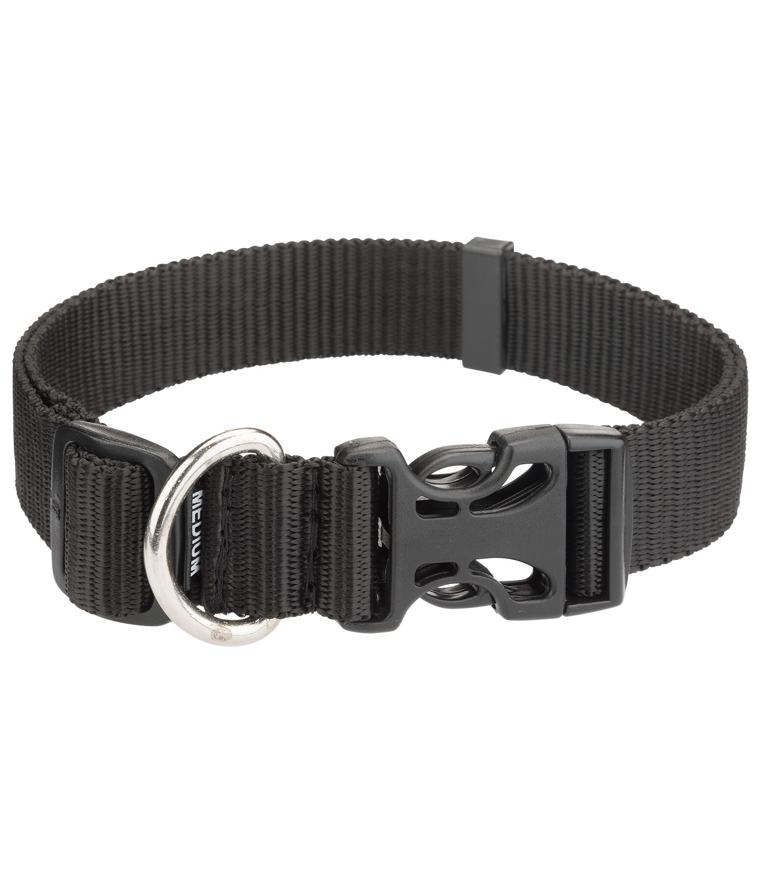 Collier pour chien  Champ