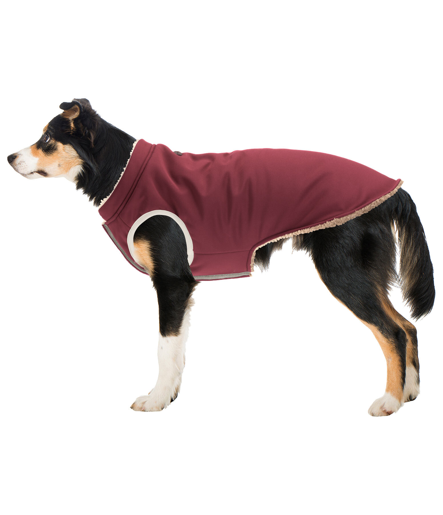 Gilet rversible Softshell pour chien  Willa, 80 g