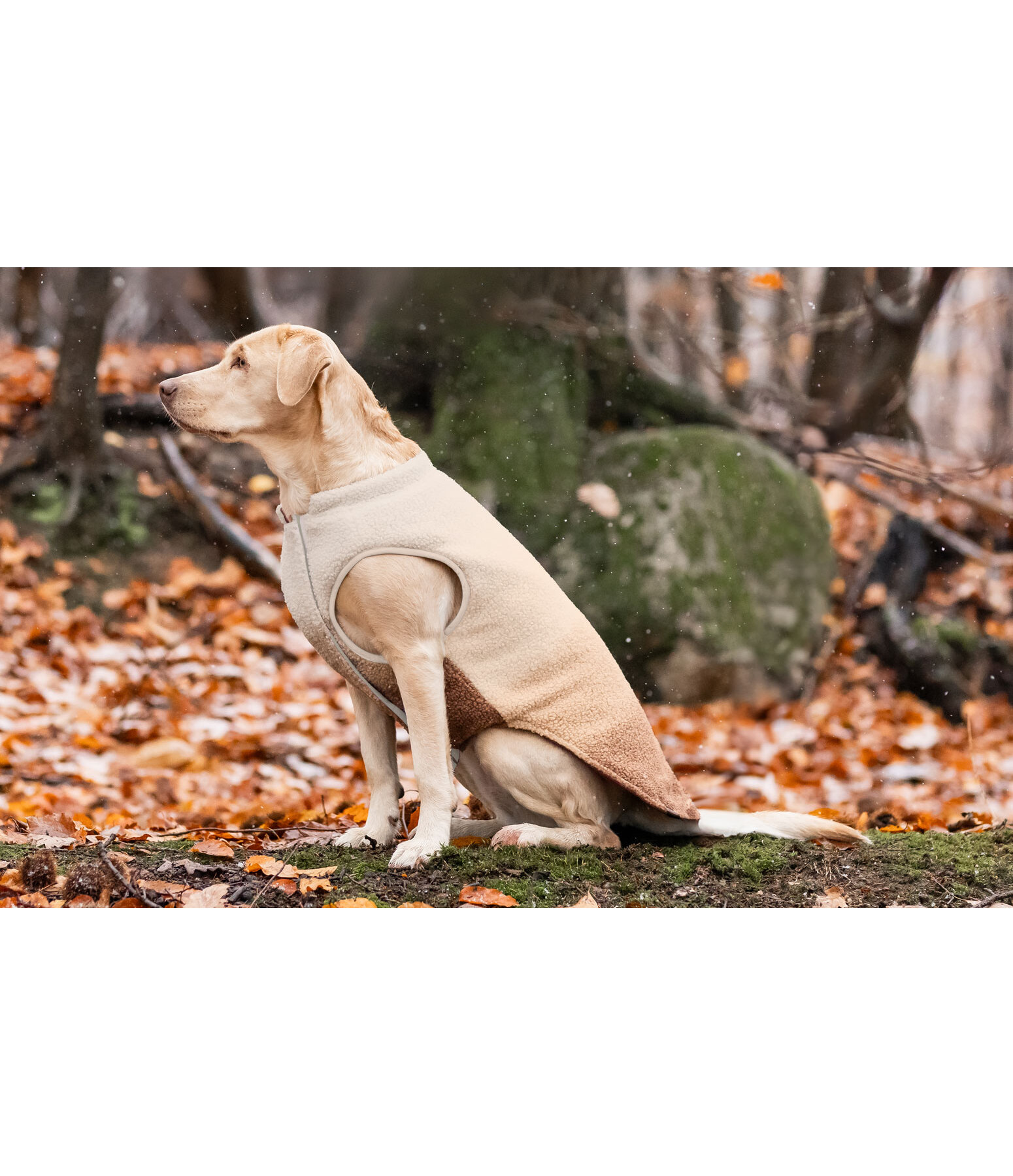 Gilet softshell rversible pour chien  Willa, 80 g