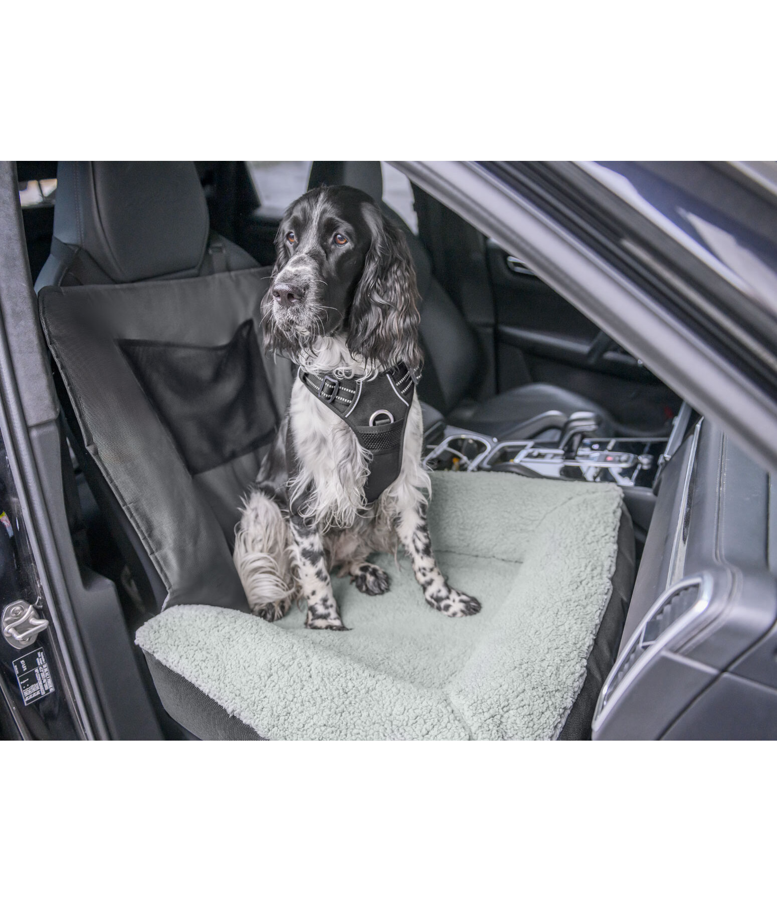Coussin sige-auto pour chien  Maine