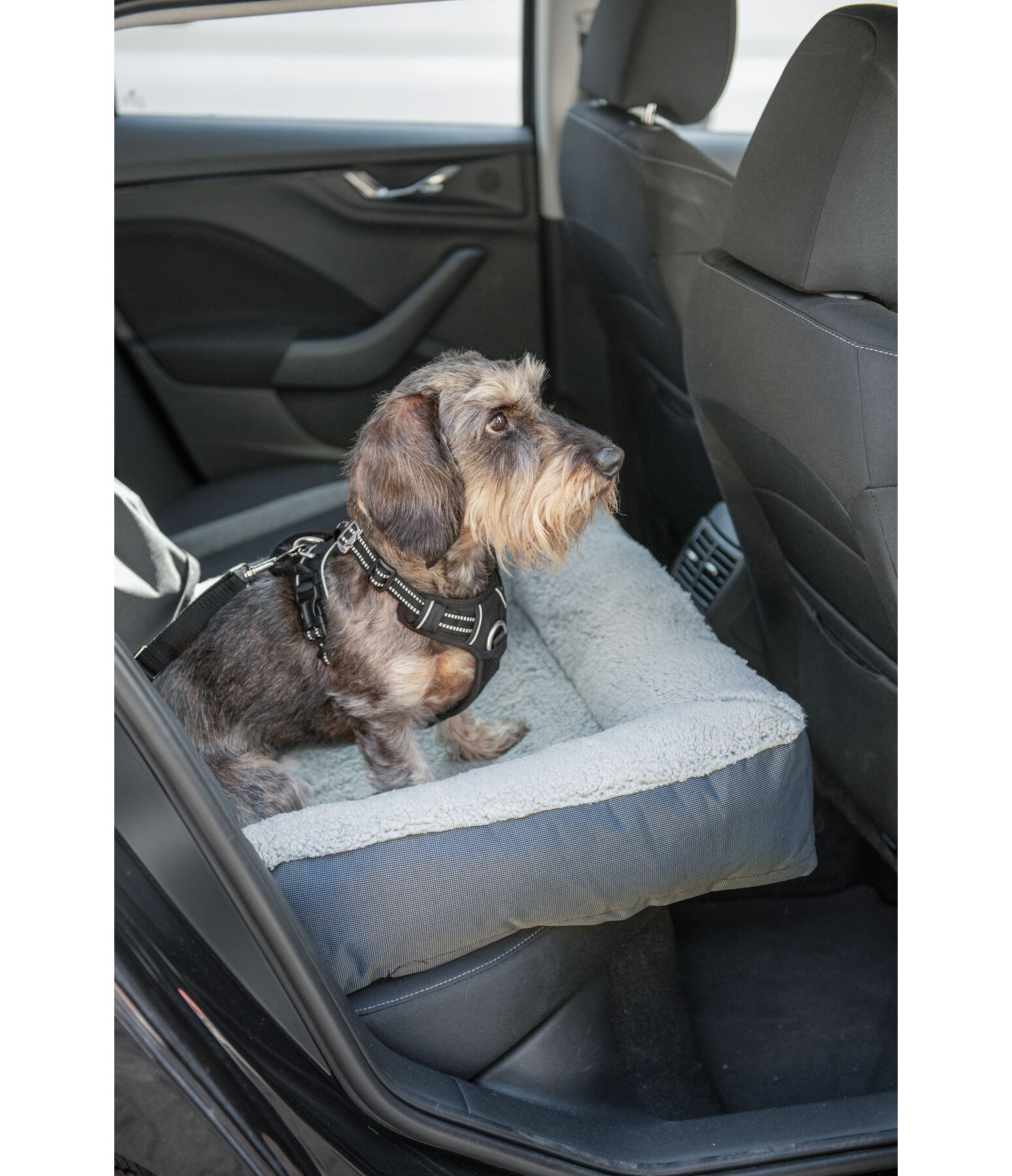 Coussin si�ge-auto pour chien  Maine