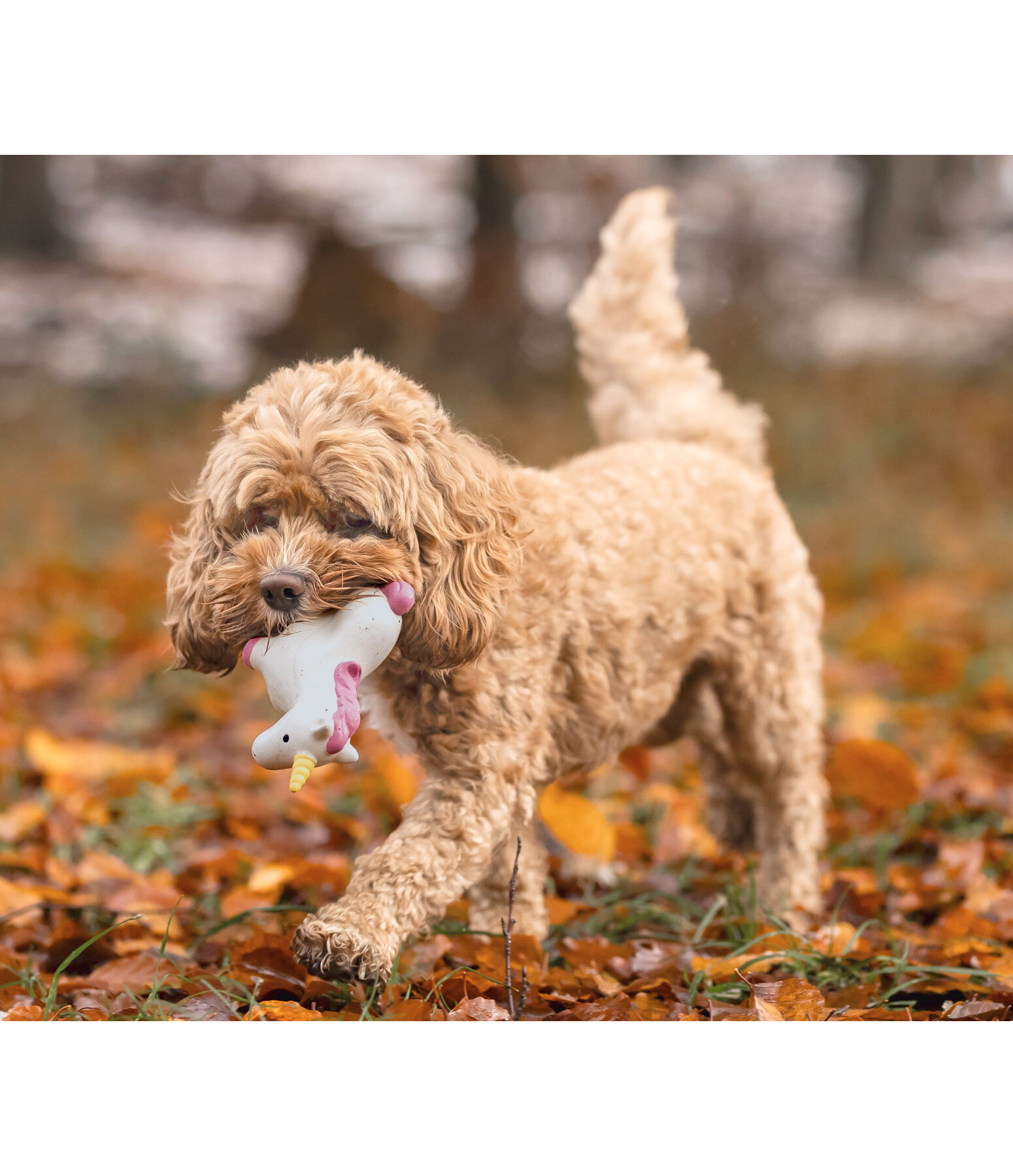 Jouet pour chien avec couineur   Unicorn