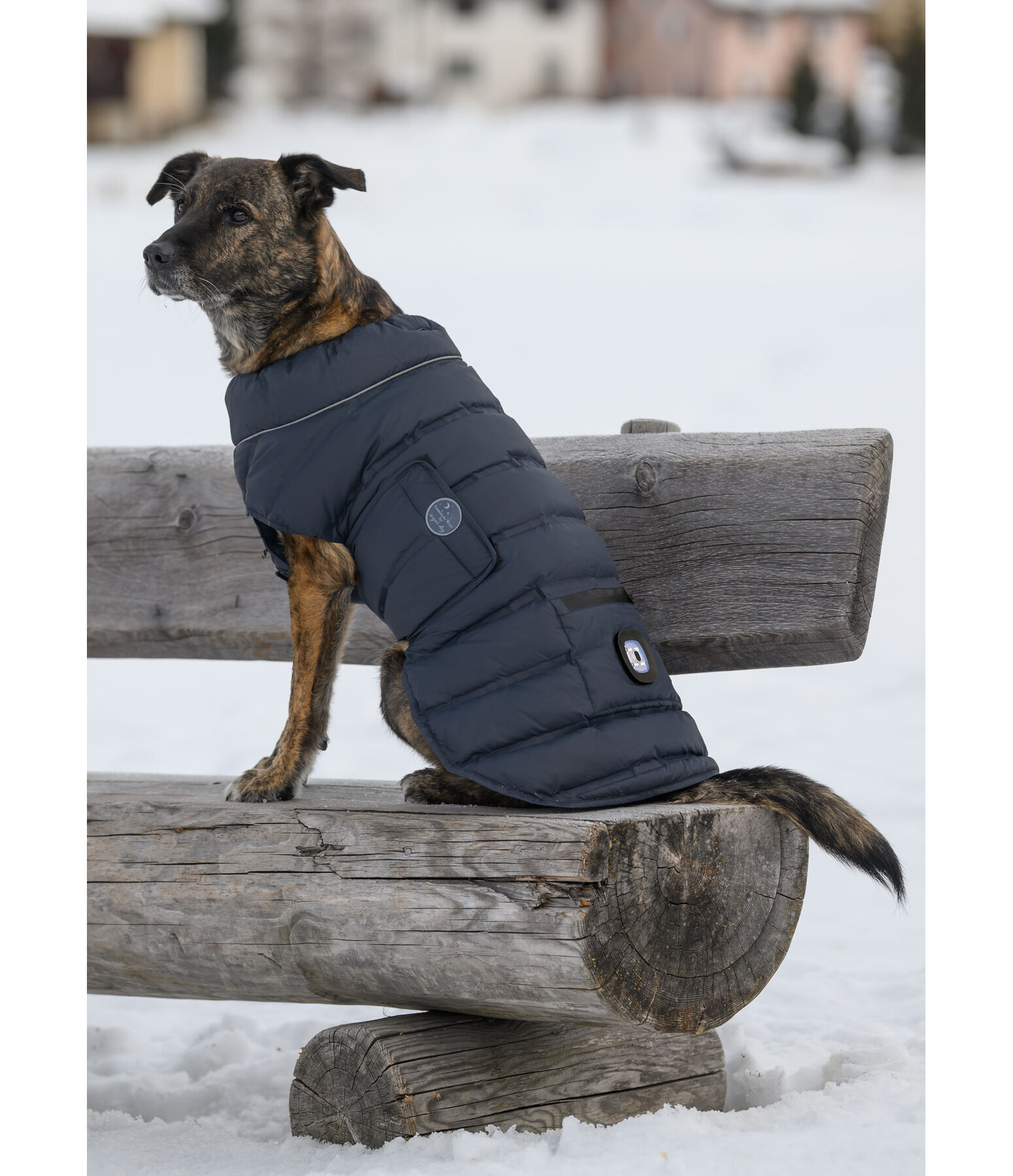 Manteau pour chien matelass� avec LED  Arlo, 300 g