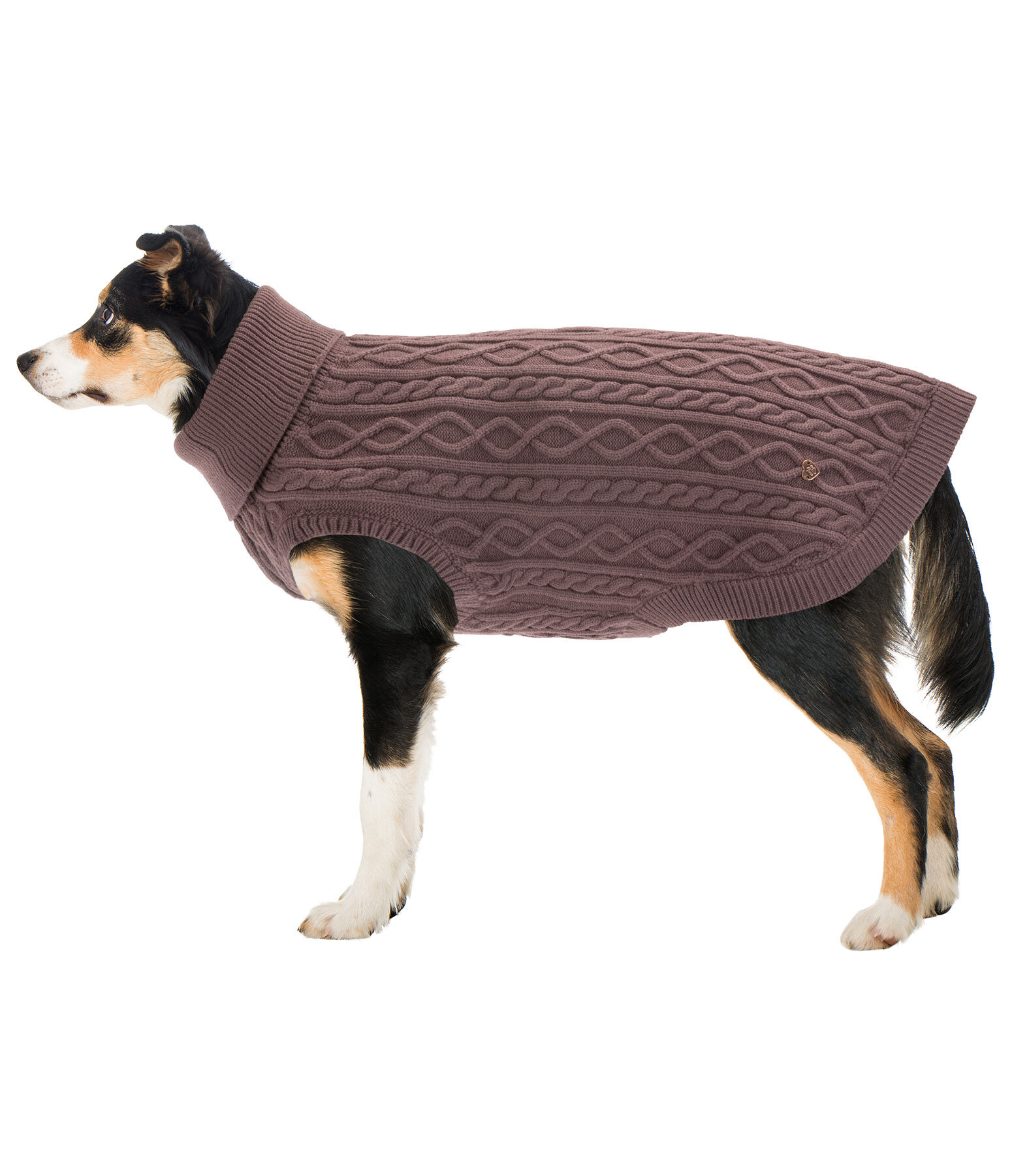 Pull col roul  Maisie