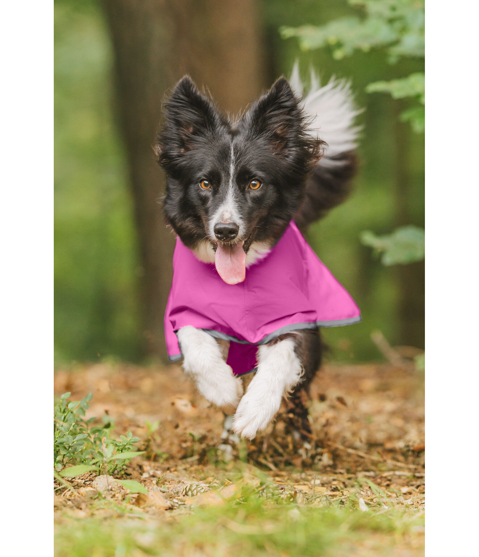Manteau de pluie pour chien  Thousand Islands, 0 g