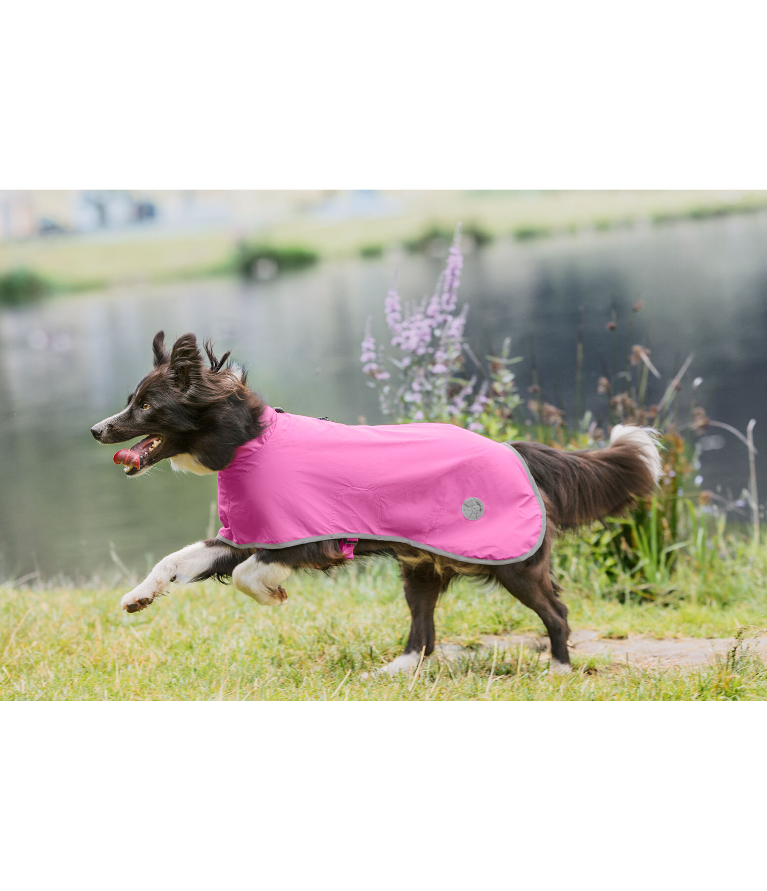 Manteau de pluie pour chien  Thousand Islands, 0 g
