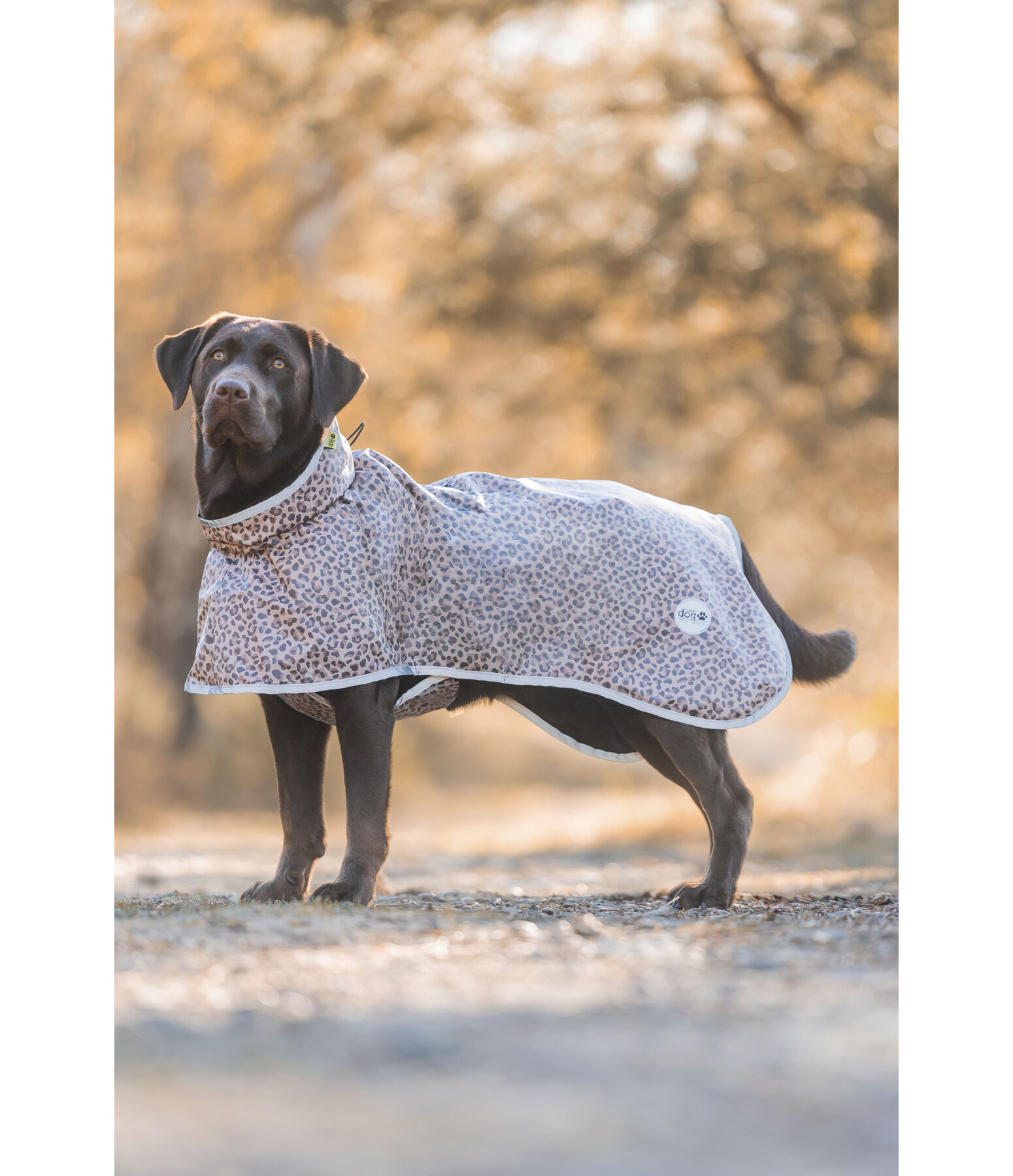 Manteau imperm�able pour chien  Thousand Islands, 0 g