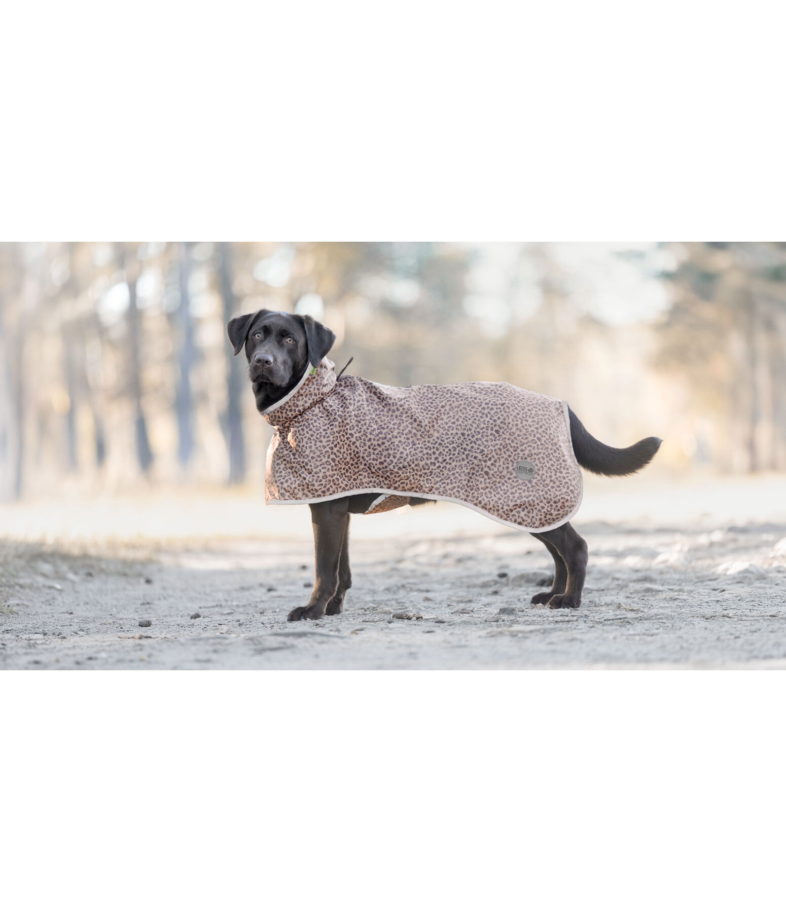 Manteau imperm�able pour chien  Thousand Islands, 0 g