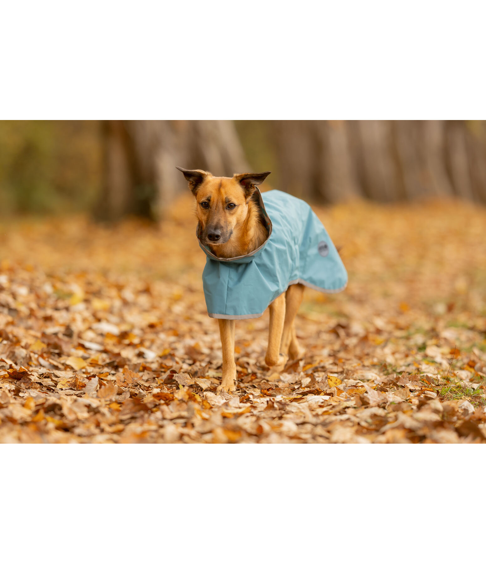 Manteau imperm�able pour chien  Thousand Islands, 0 g
