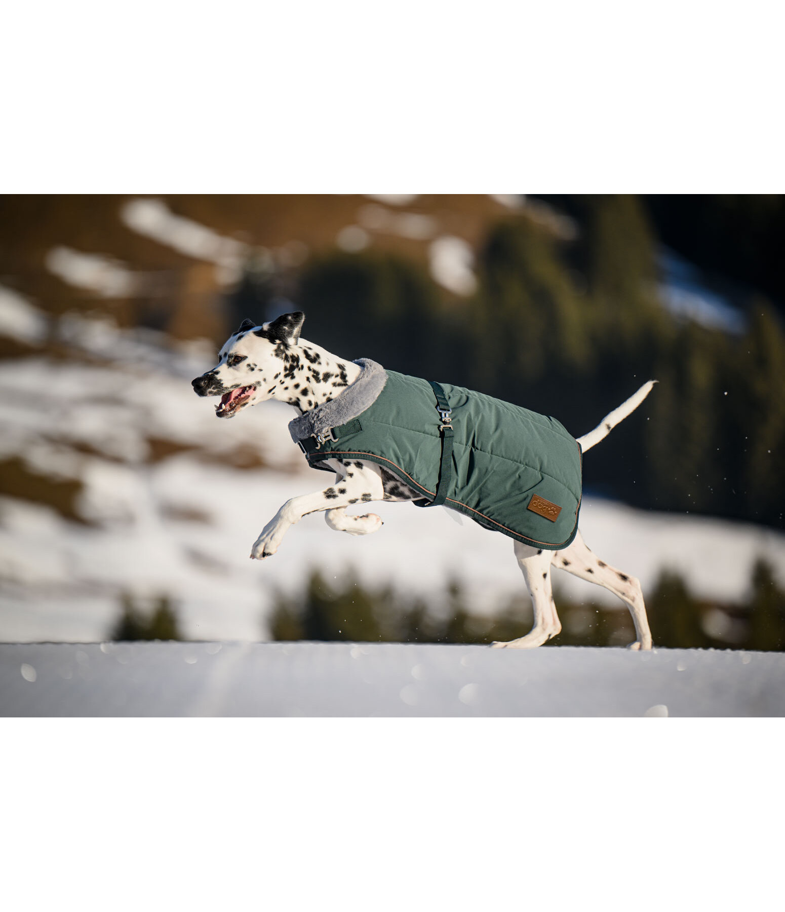 Manteau d'hiver pour chien avec doublure en fourrure Teddy  Gizmo, 200 g