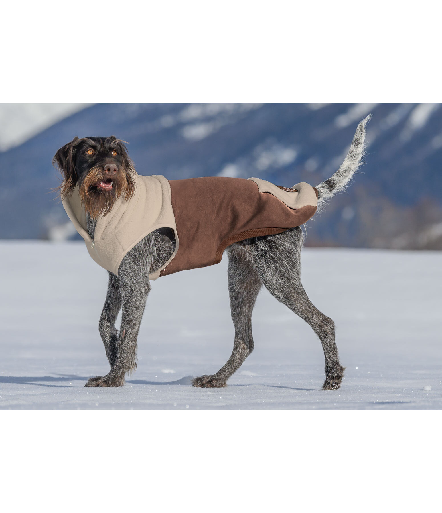 Sweat  capuche Sherpa pour chien  Sawyer