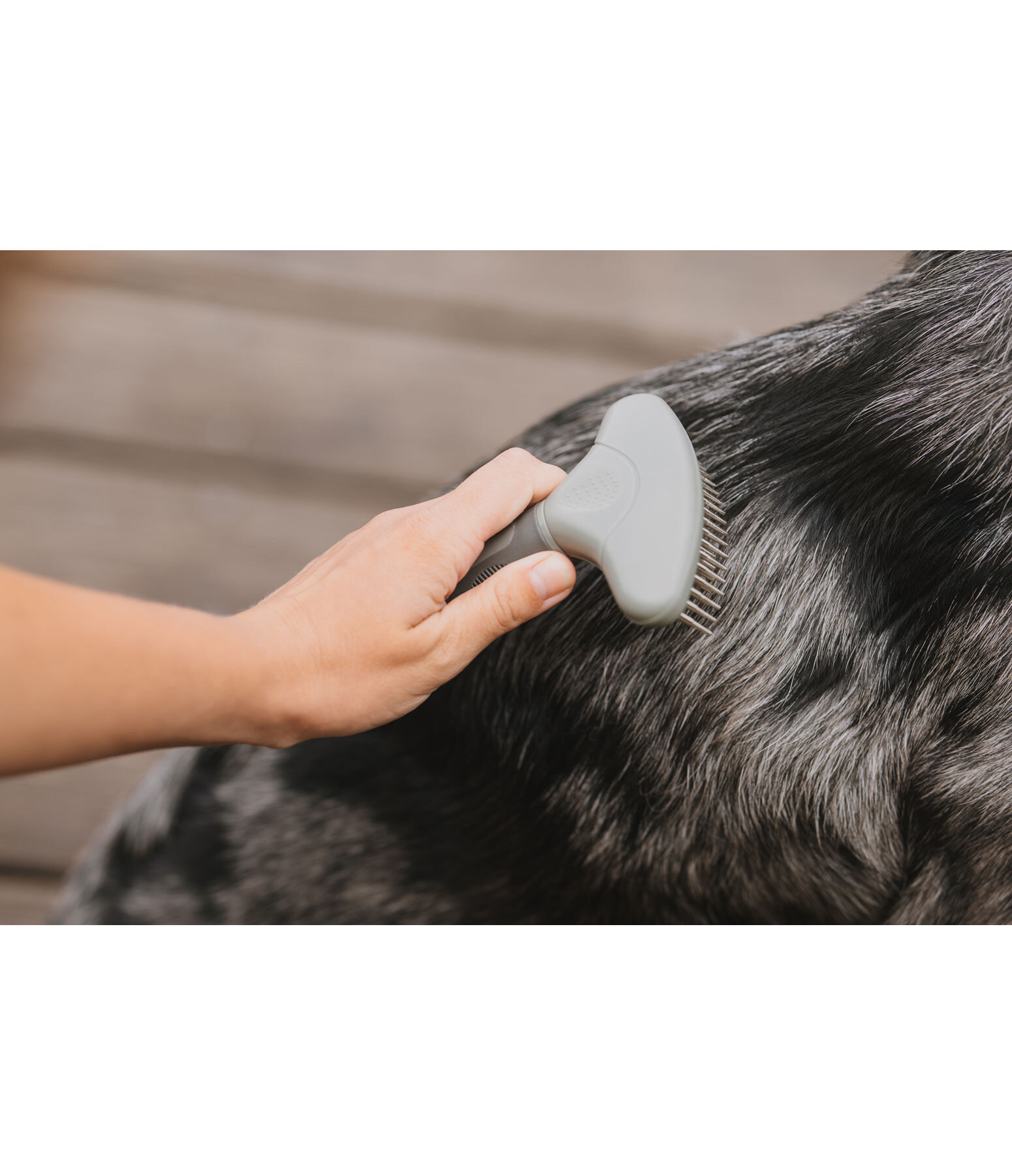 Brosse  dmler pour chien  Maylo