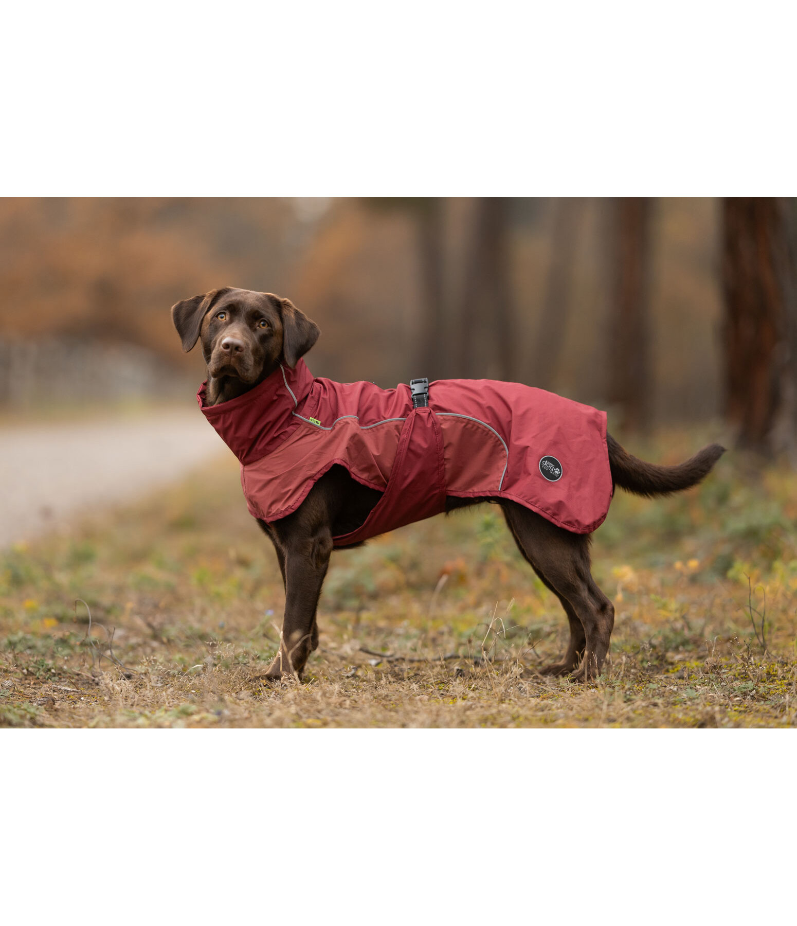 Manteau de pluie l�ger pour chien  Alma, 0 g