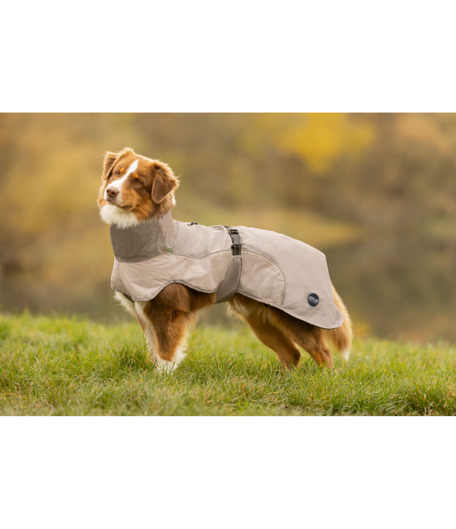 Manteau de pluie l�ger pour chien  Alma, 0 g