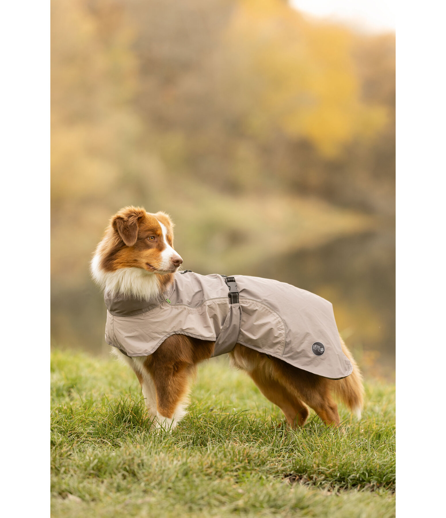 Manteau de pluie l�ger pour chien  Alma, 0 g