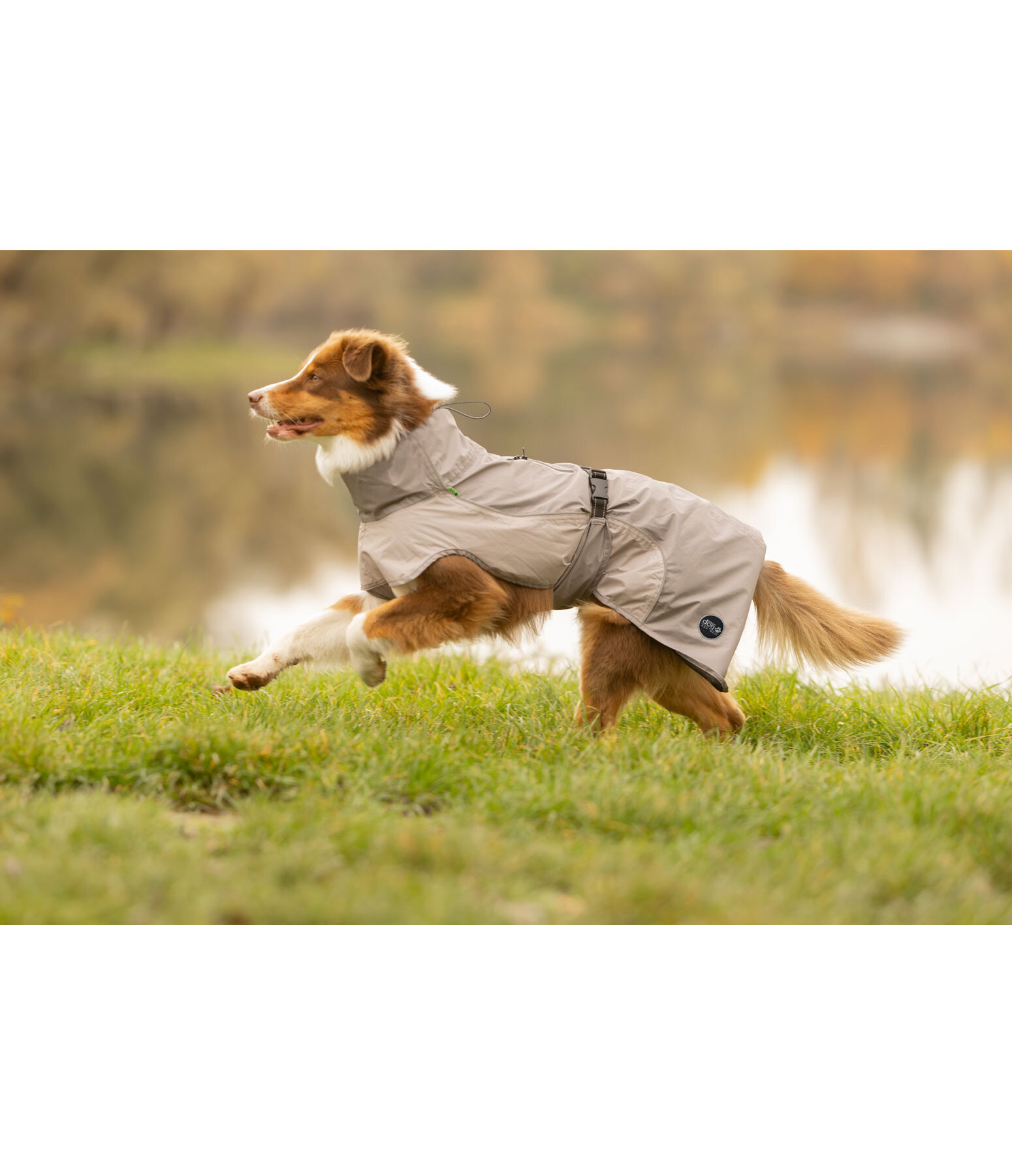 Manteau de pluie l�ger pour chien  Alma, 0 g