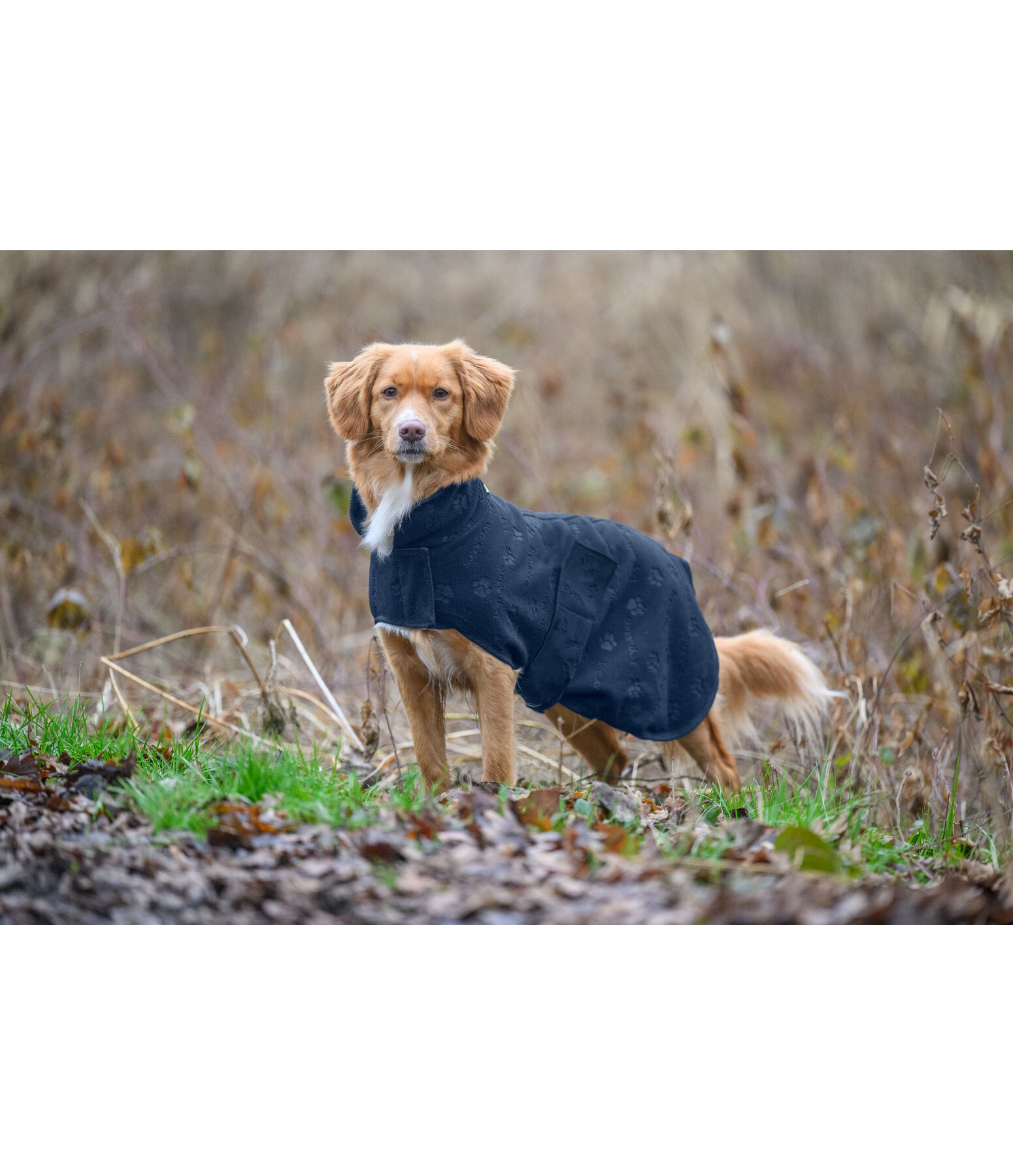 Manteau polaire  Lino