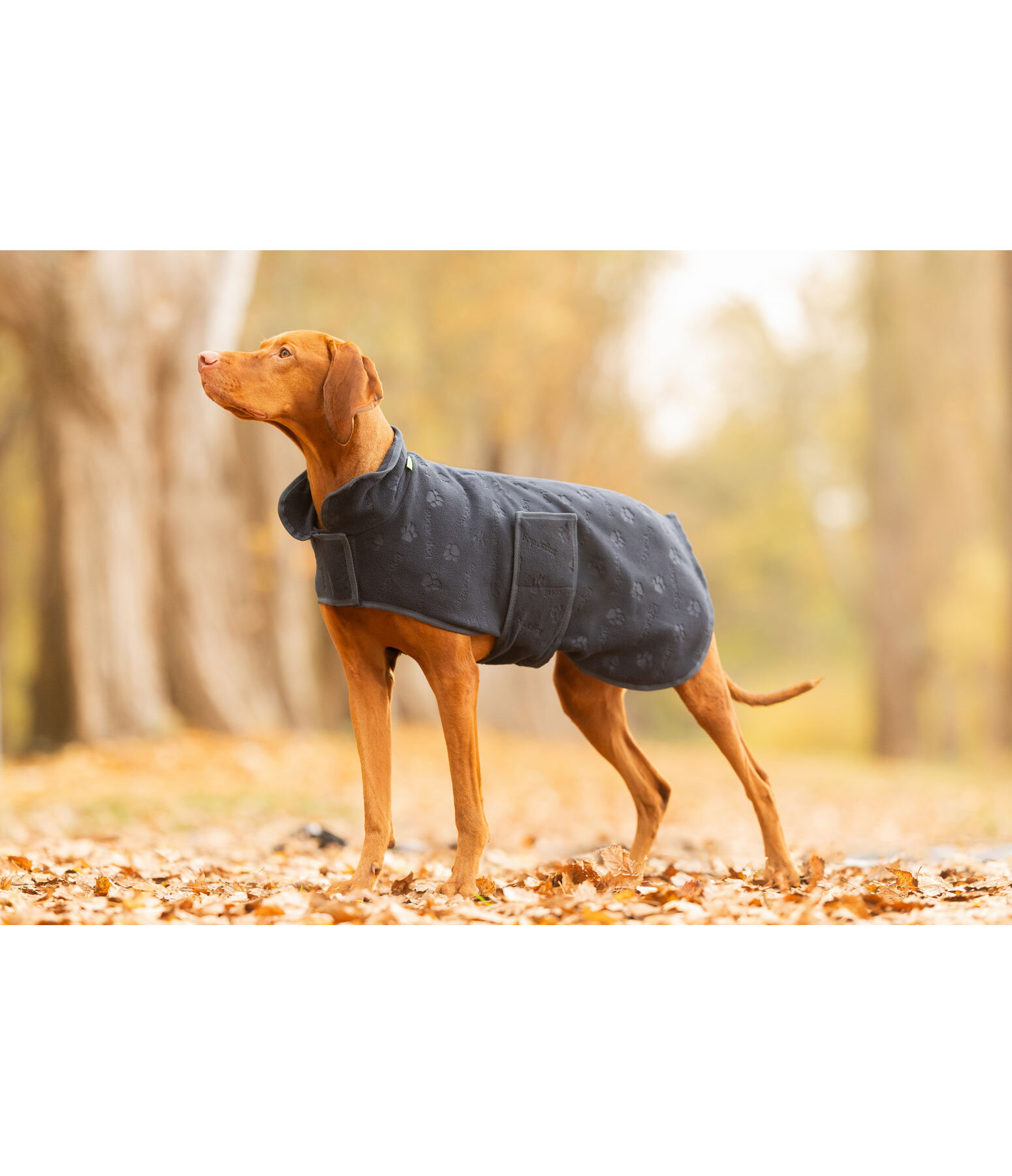 Manteau polaire  Lino