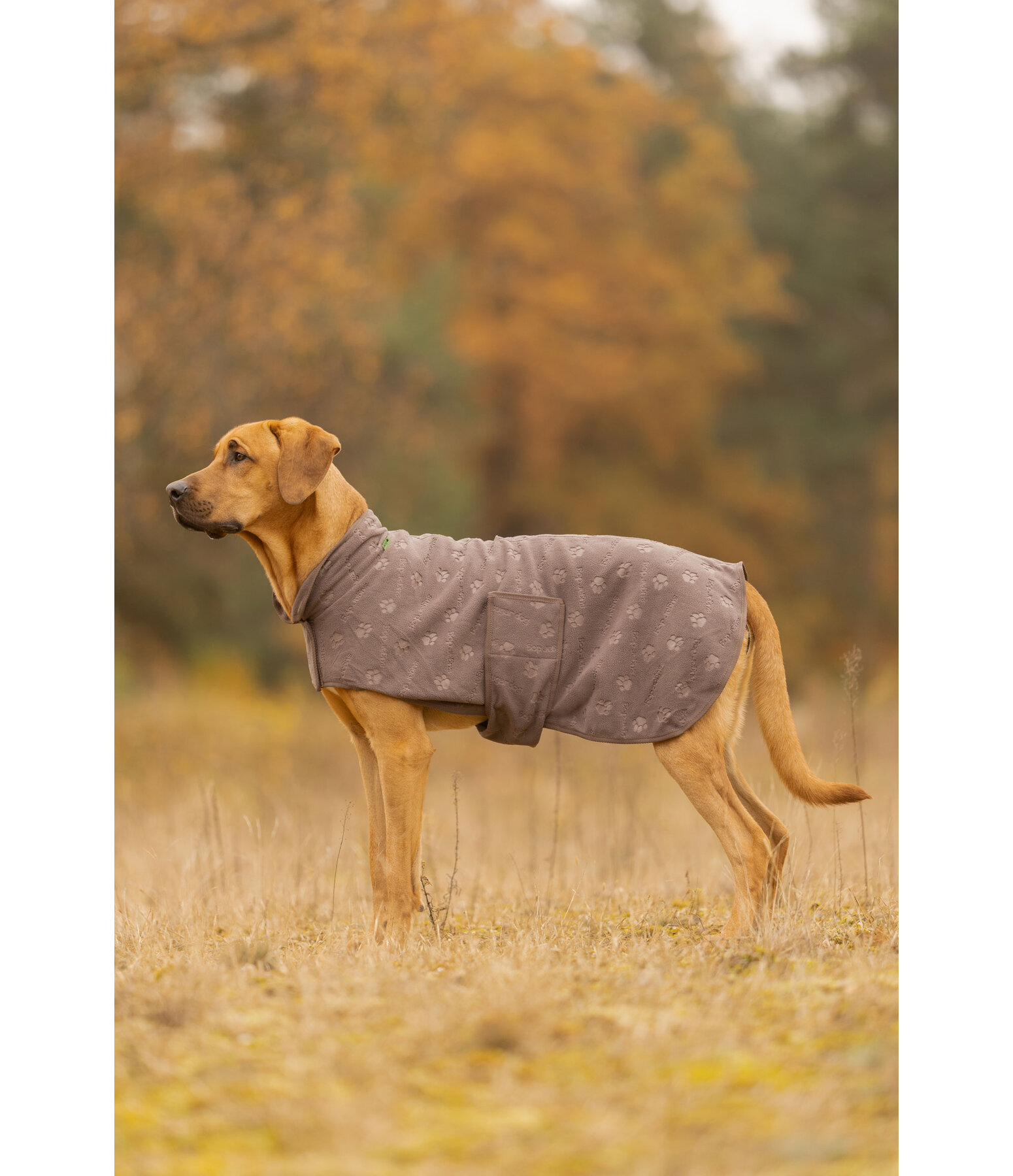 Manteau polaire  Lino