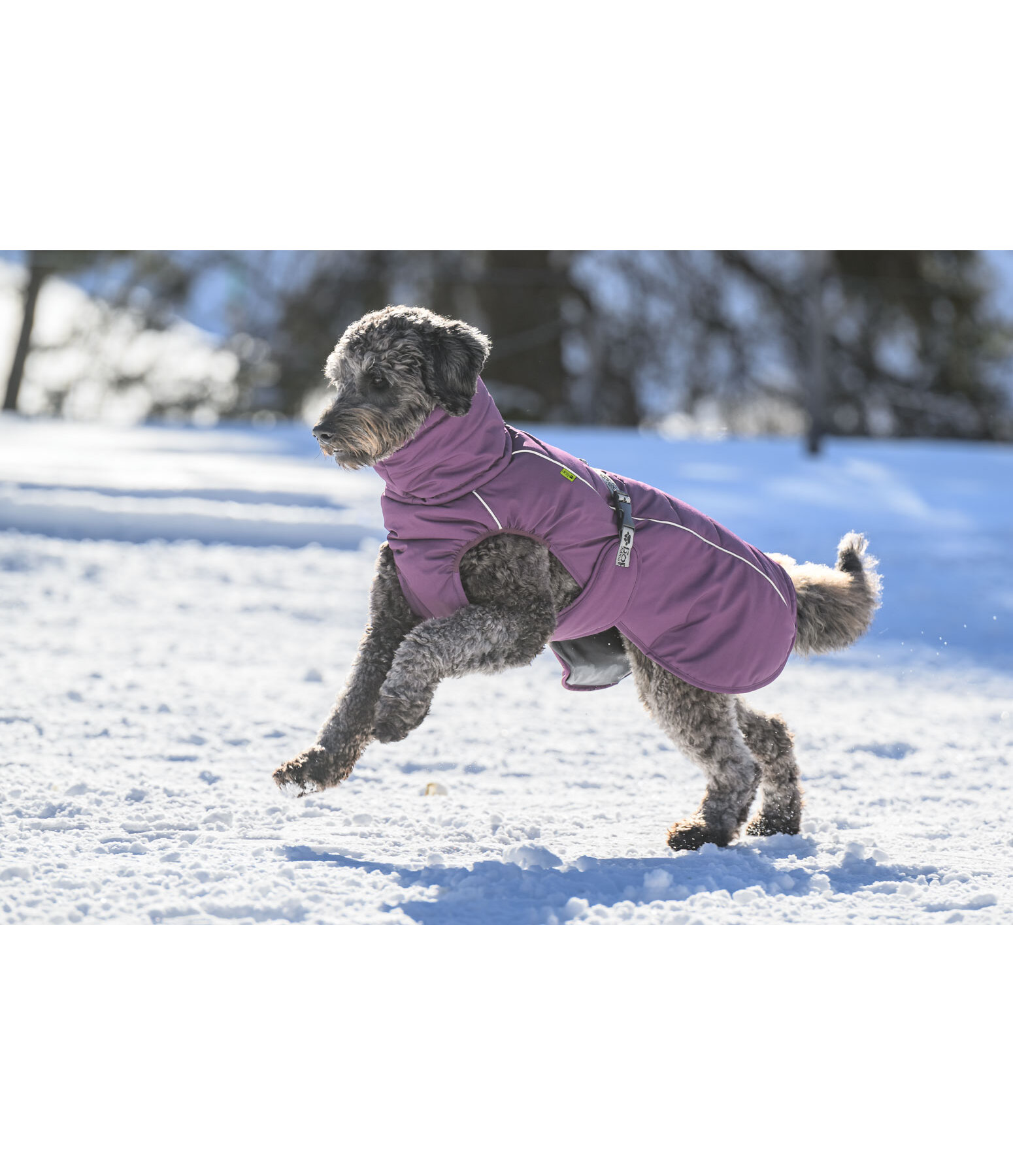 Manteau d'hiver pour chien  Marlon, 200-300 g