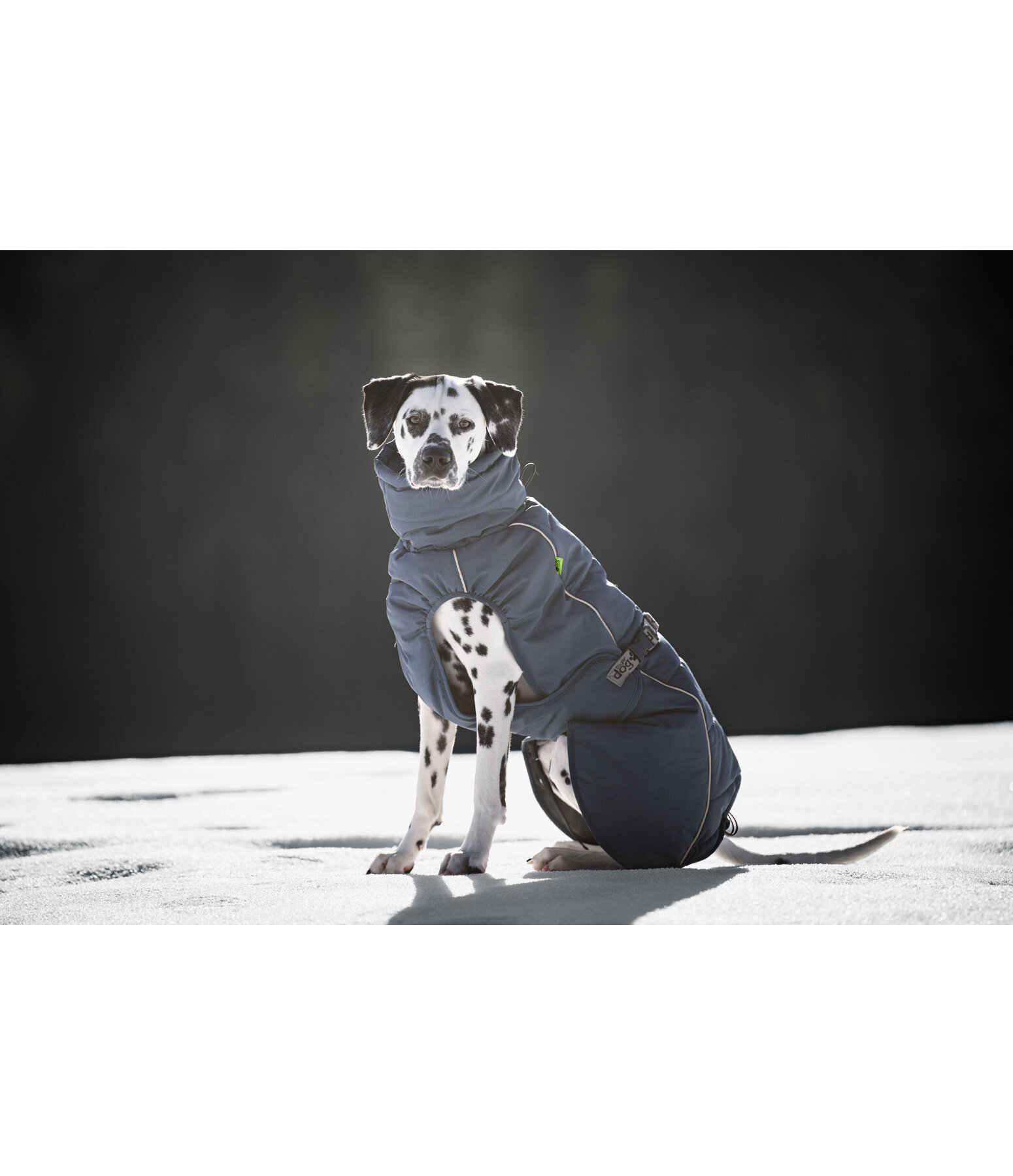 Manteau d'hiver pour chien  Marlon, 200-300 g