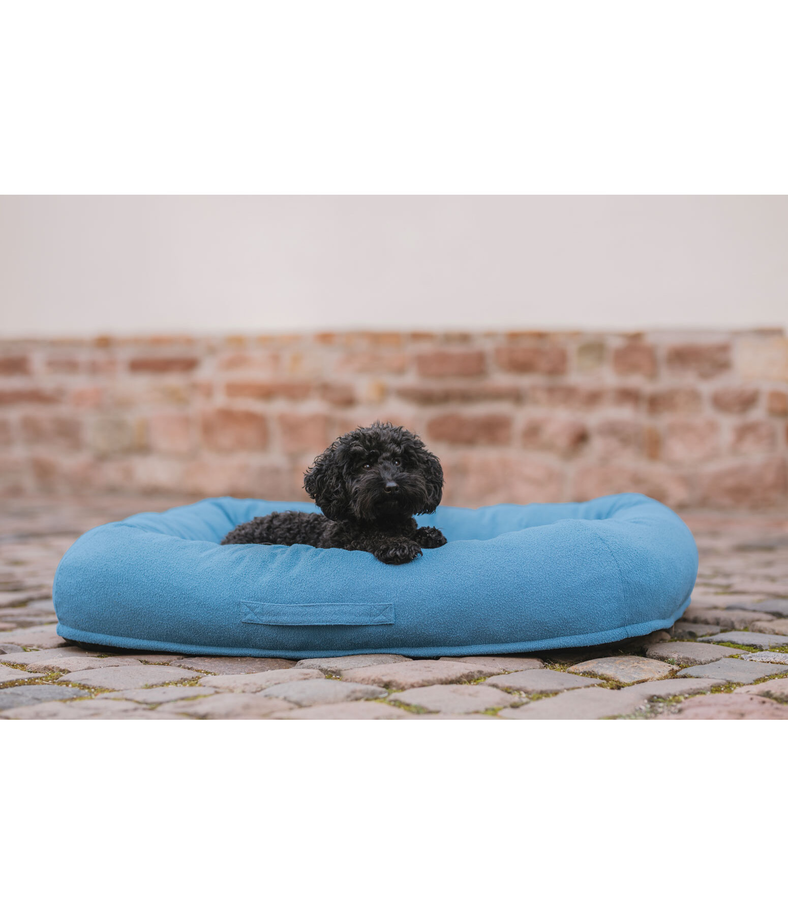 Panier pour chien  Terry