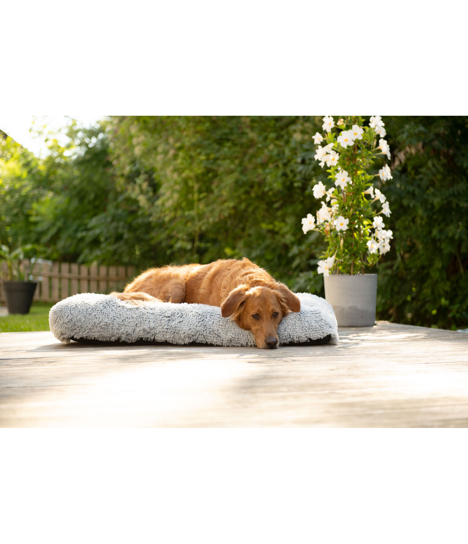 Lit pour chien  Marlie