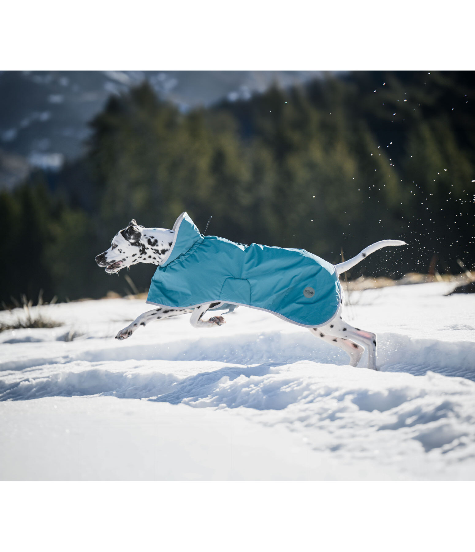 Manteau imperm�able pour chien  Winter Islands, 150 g