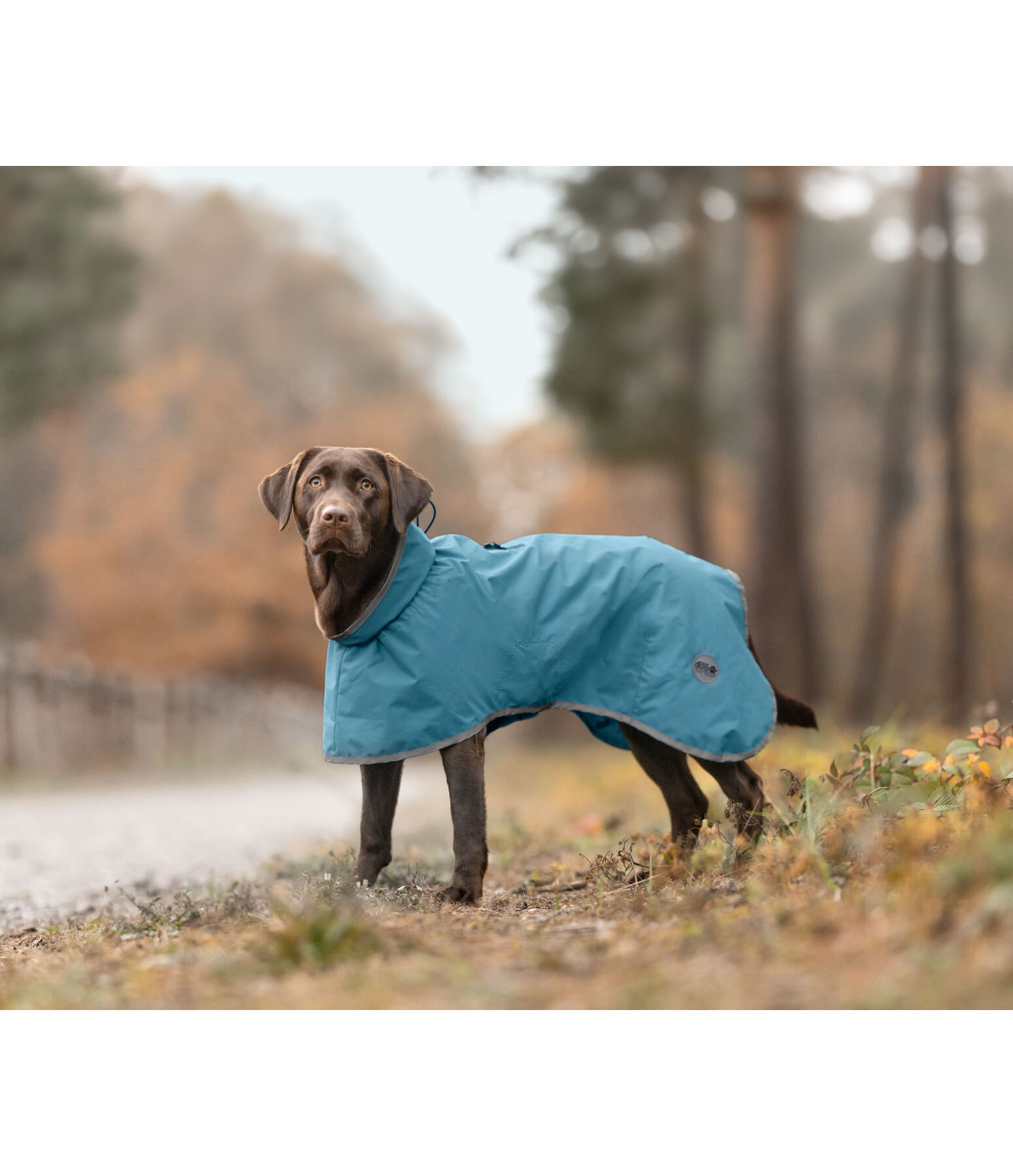 Manteau imperm�able pour chien  Winter Islands, 150 g
