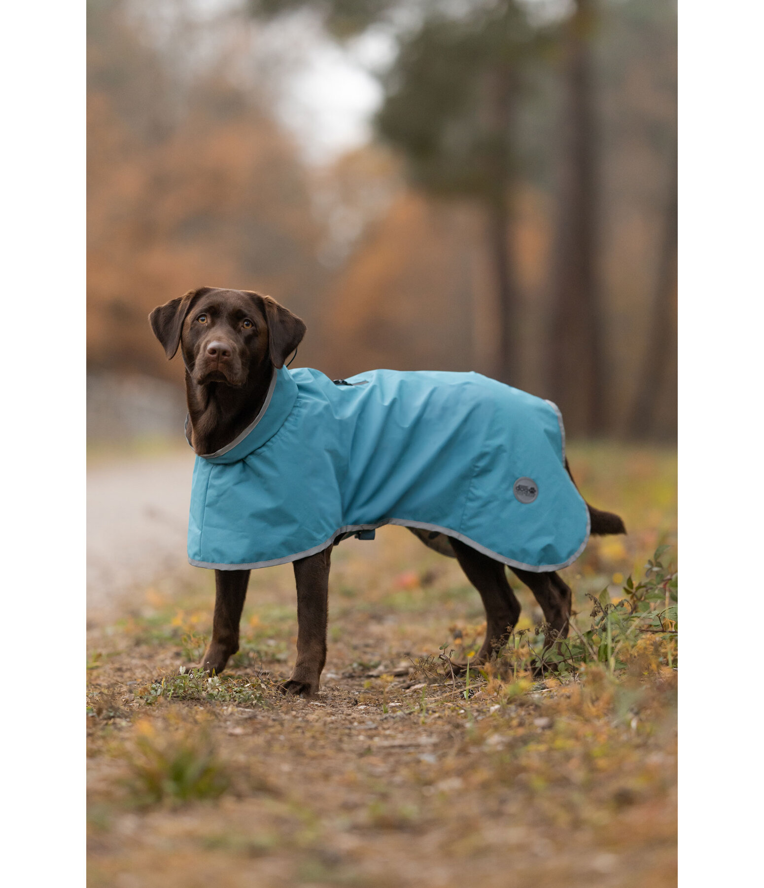 Manteau imperm�able pour chien  Winter Islands, 150 g