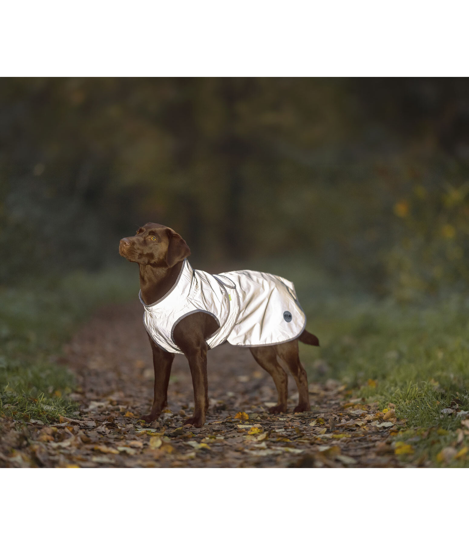 Manteau r�fl�chissant avec doublure polaire  Stay Safe